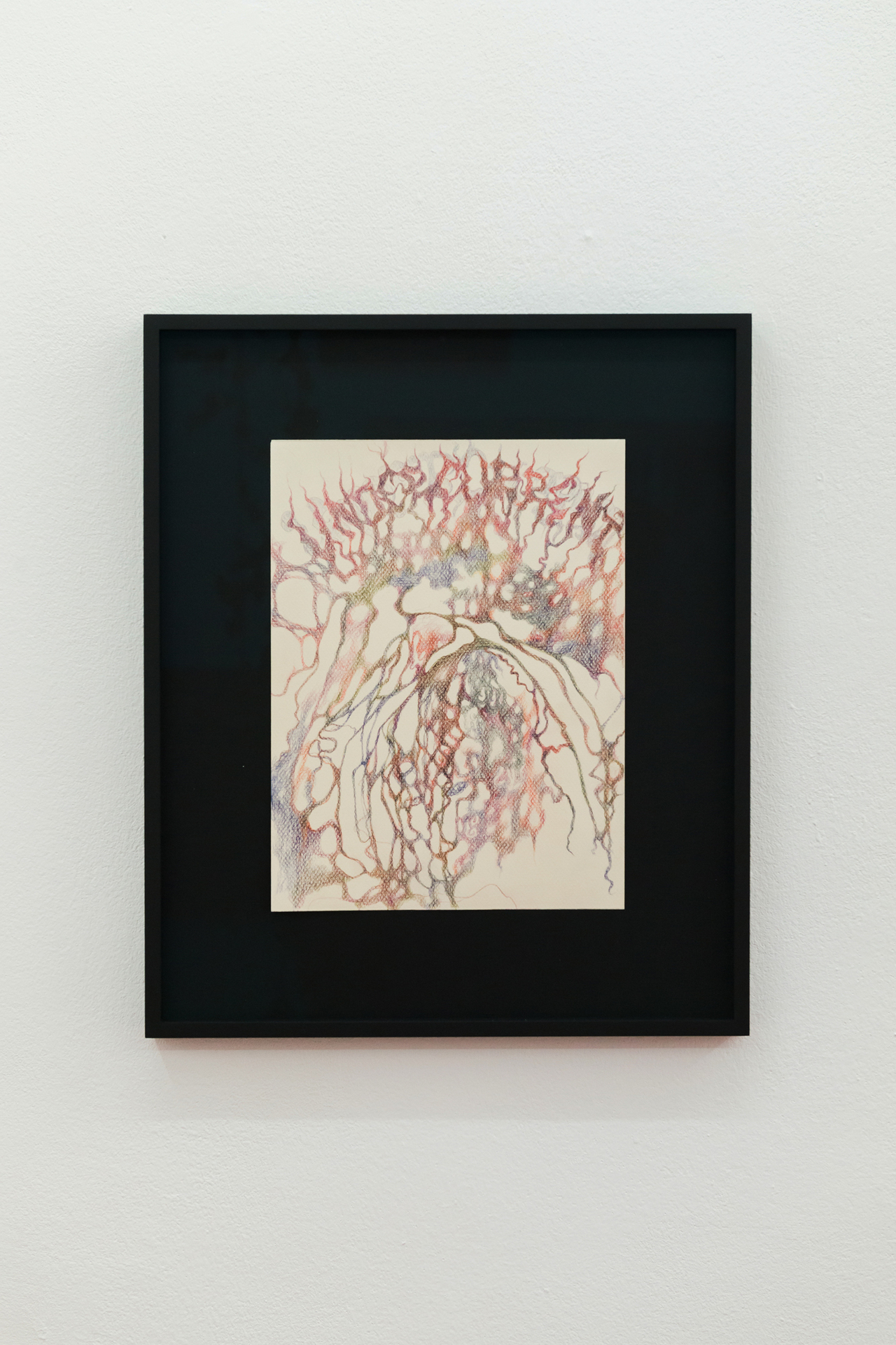 Leda Bourgogne, Fluency, 2022, Colored pencil on paper, 30,5 x 22,8 cm