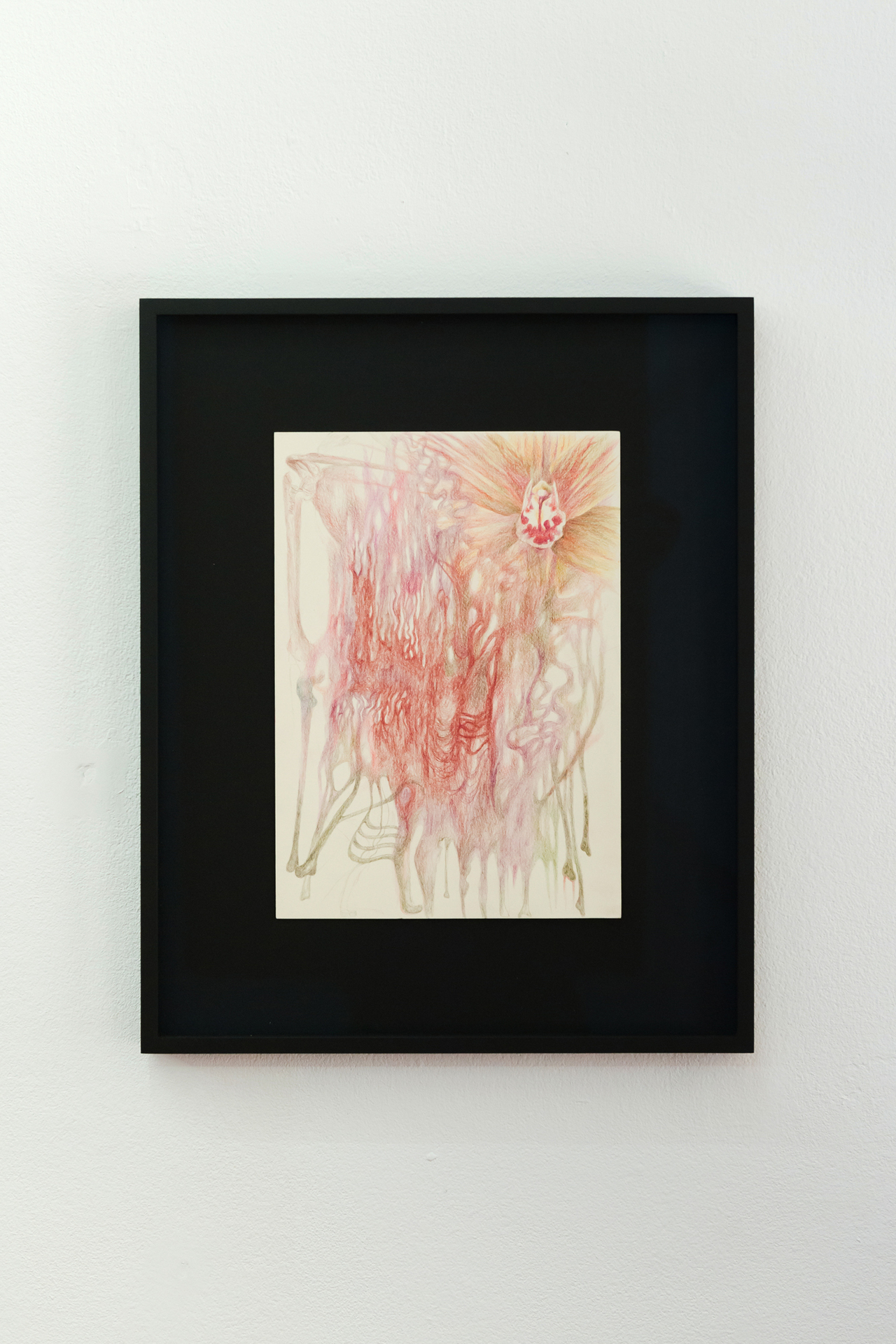 Leda Bourgogne, Kinky Love, 2022, Colored pencil on paper, 29,7 x 21 cm