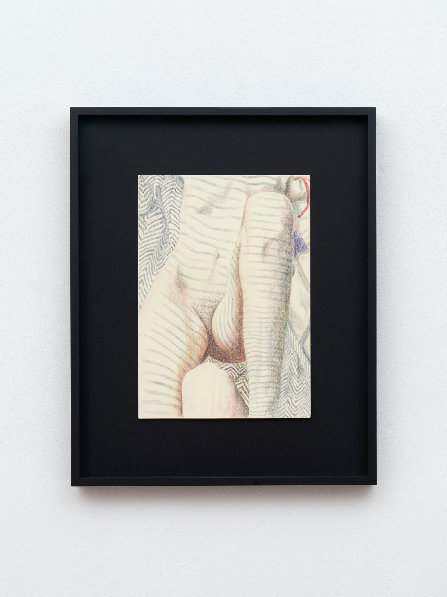 Leda Bourgogne, Chameleon, 2022, Colored pencil on paper, 29,7 x 21 cm