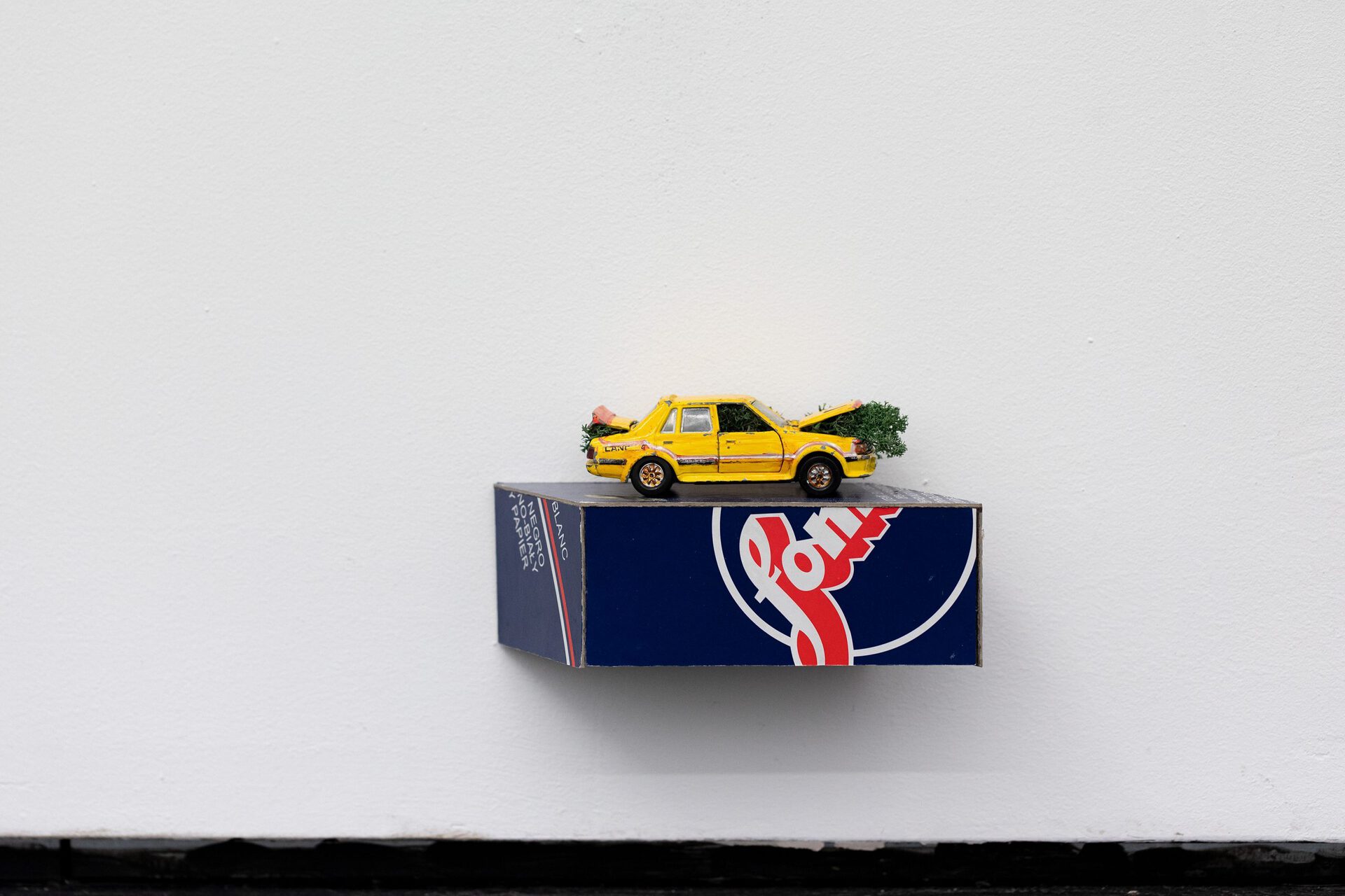 Foma Car, Model Mitsubishi Lancer car, Foma box, lichen, 10 x 20 x 8 cm
, 2022
