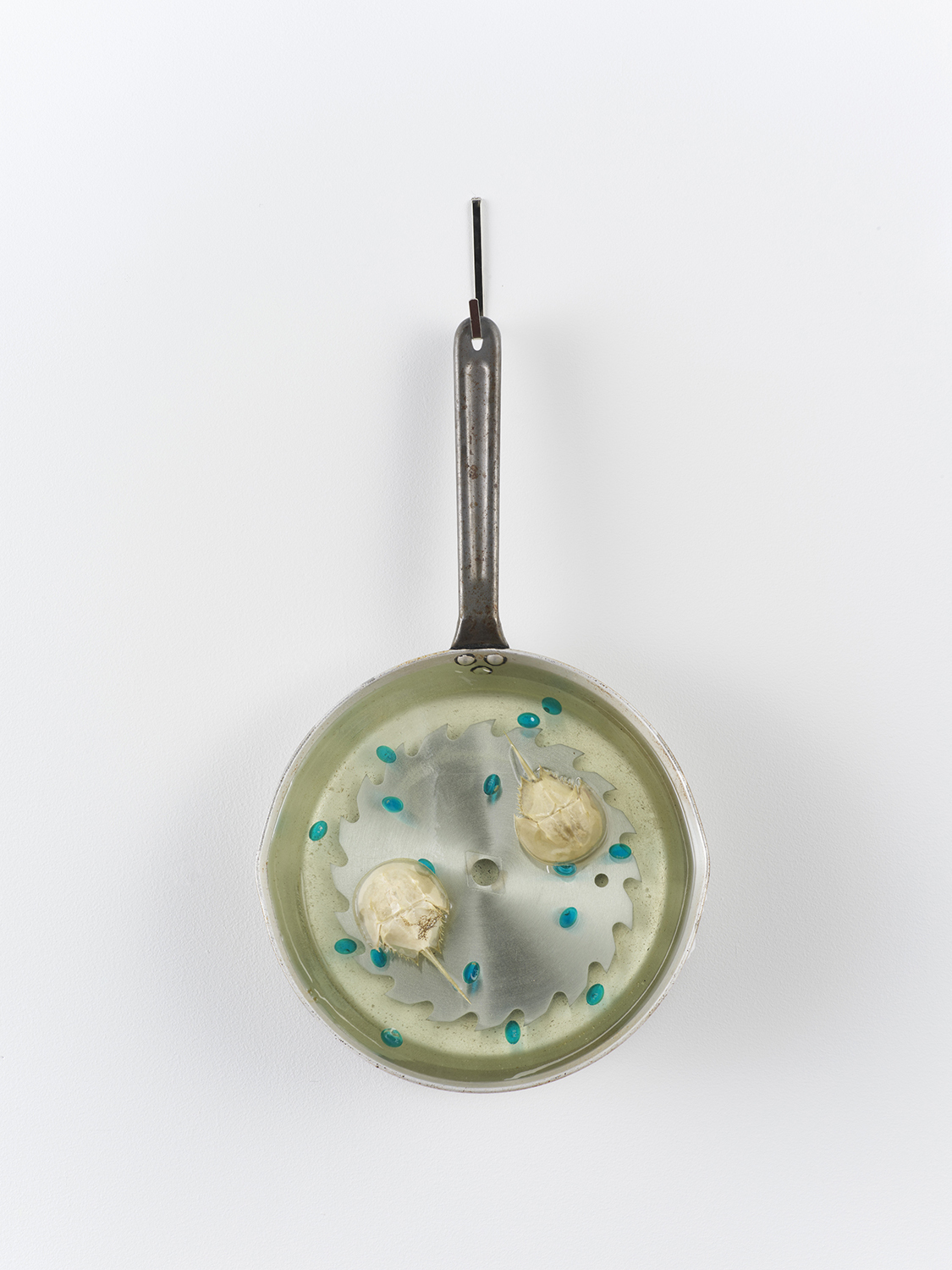 Zack Rafuls, Tondo (Crabs) 2021 Steel pot, epoxy resin, horseshoe crabs, sleeping pills, & saw blade 18 x 8.5 x 6 inches