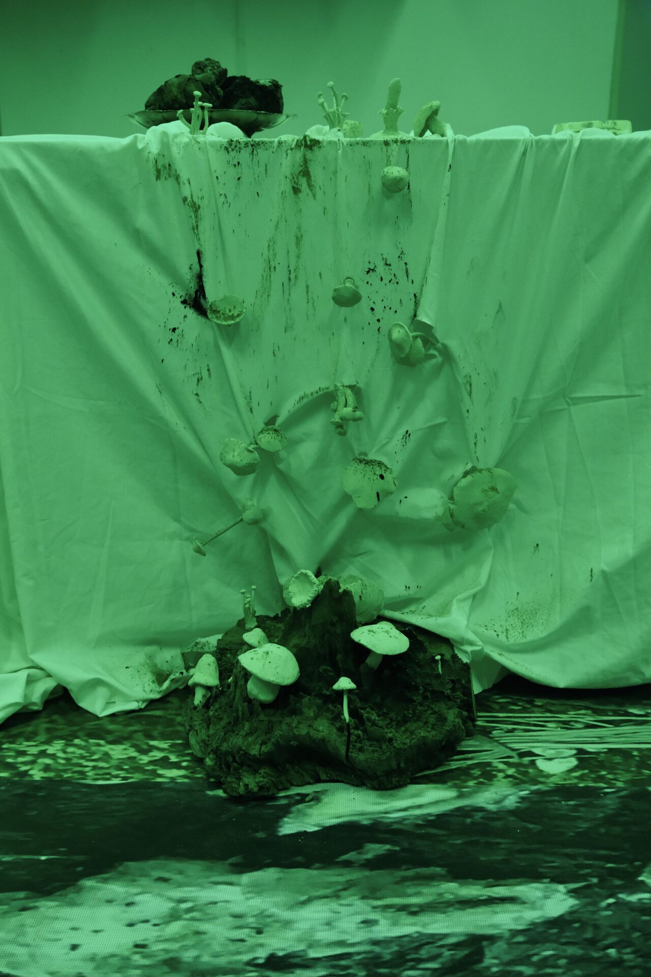 Bea Roggero Fossati, Hungry Ghosts, 2022, log, mushrooms and barks in ceramic, plaster, jesmonite, pigments and other materials, various sizes.