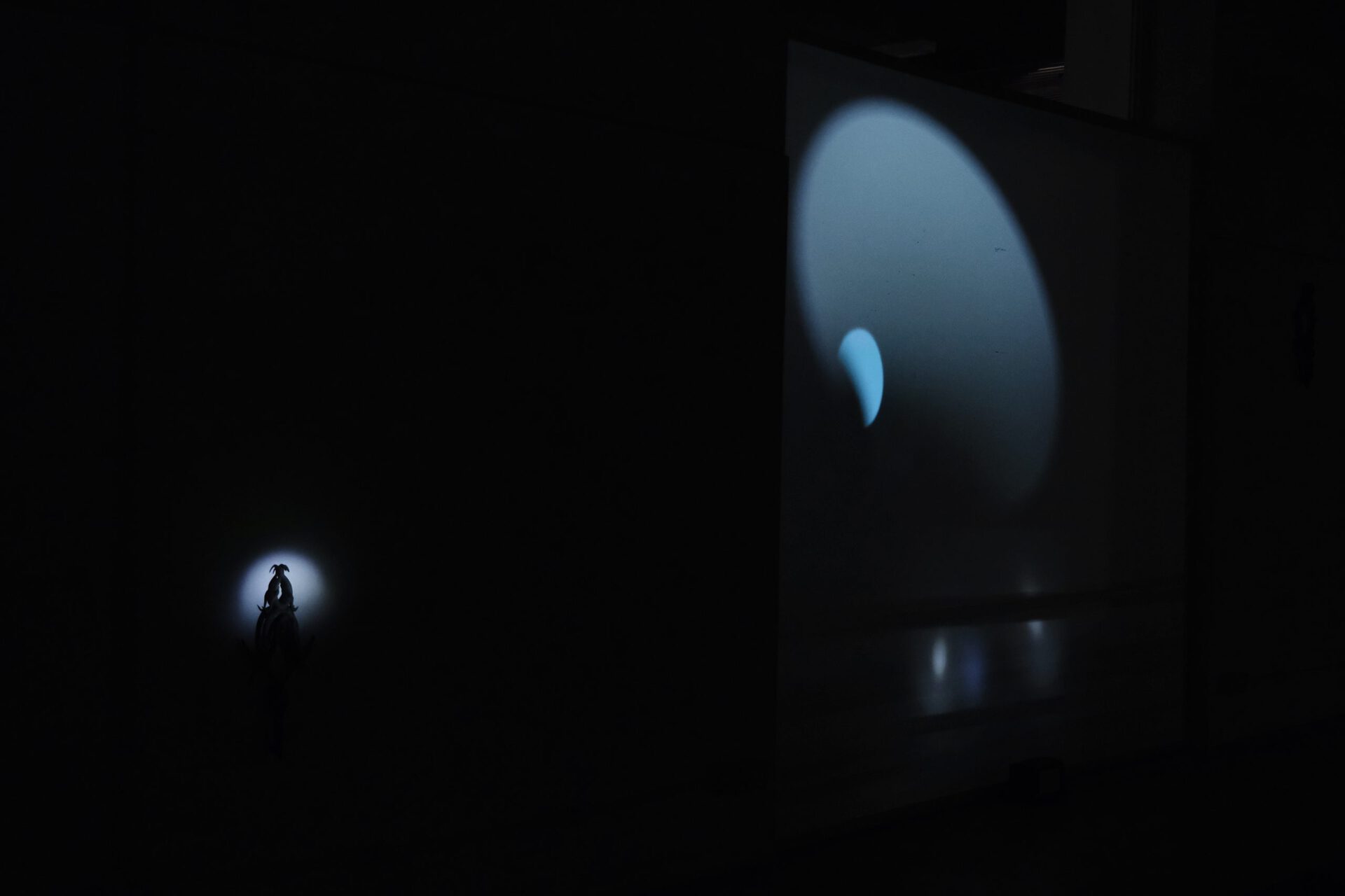 Eleonora Del Bene, ********* è simile a Dio ma ha gli occhi di vetro, 2022, screen with back projection, wood, projector, lamps, object trouvés, 240x260 cm.