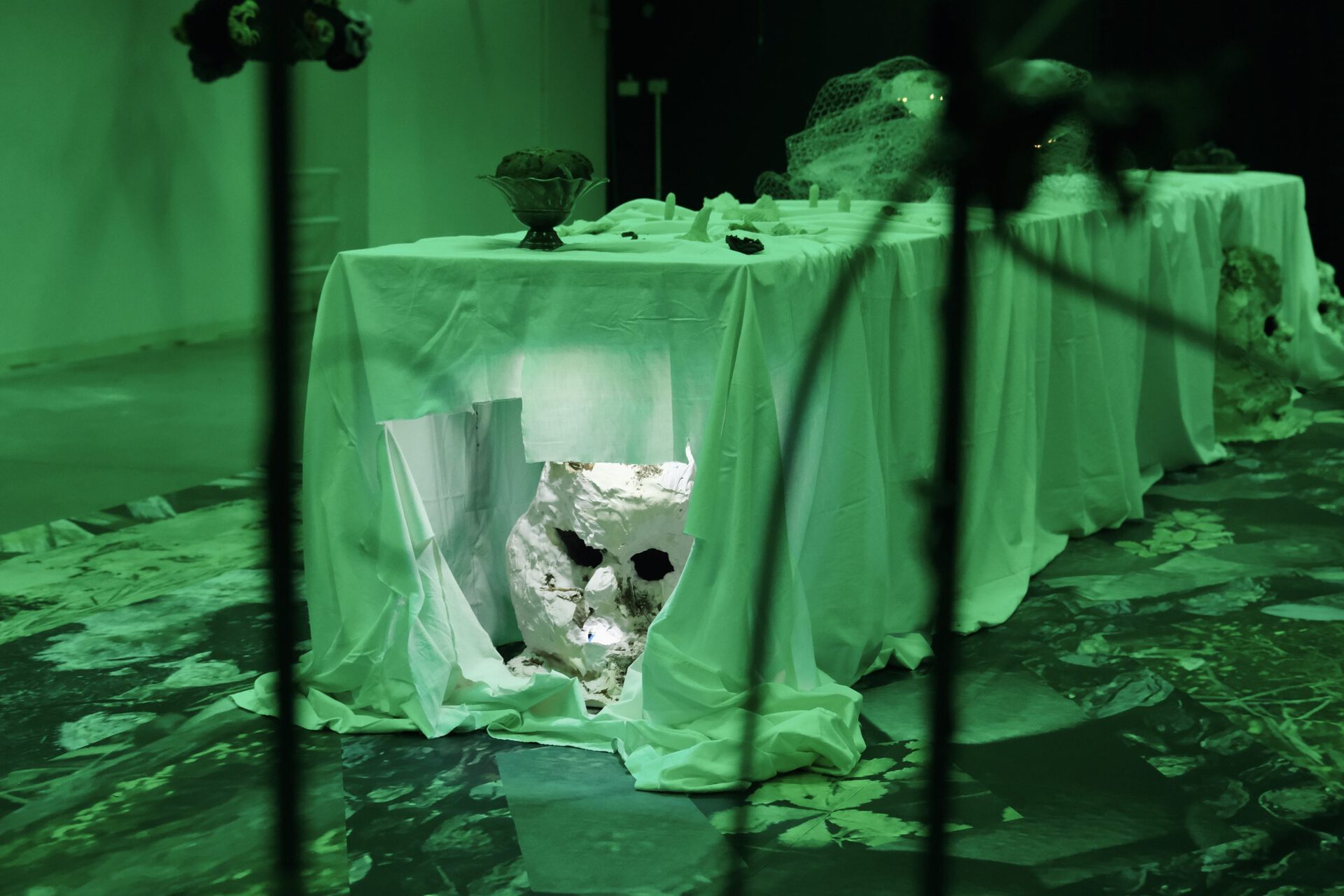 Exhibition View, green day.