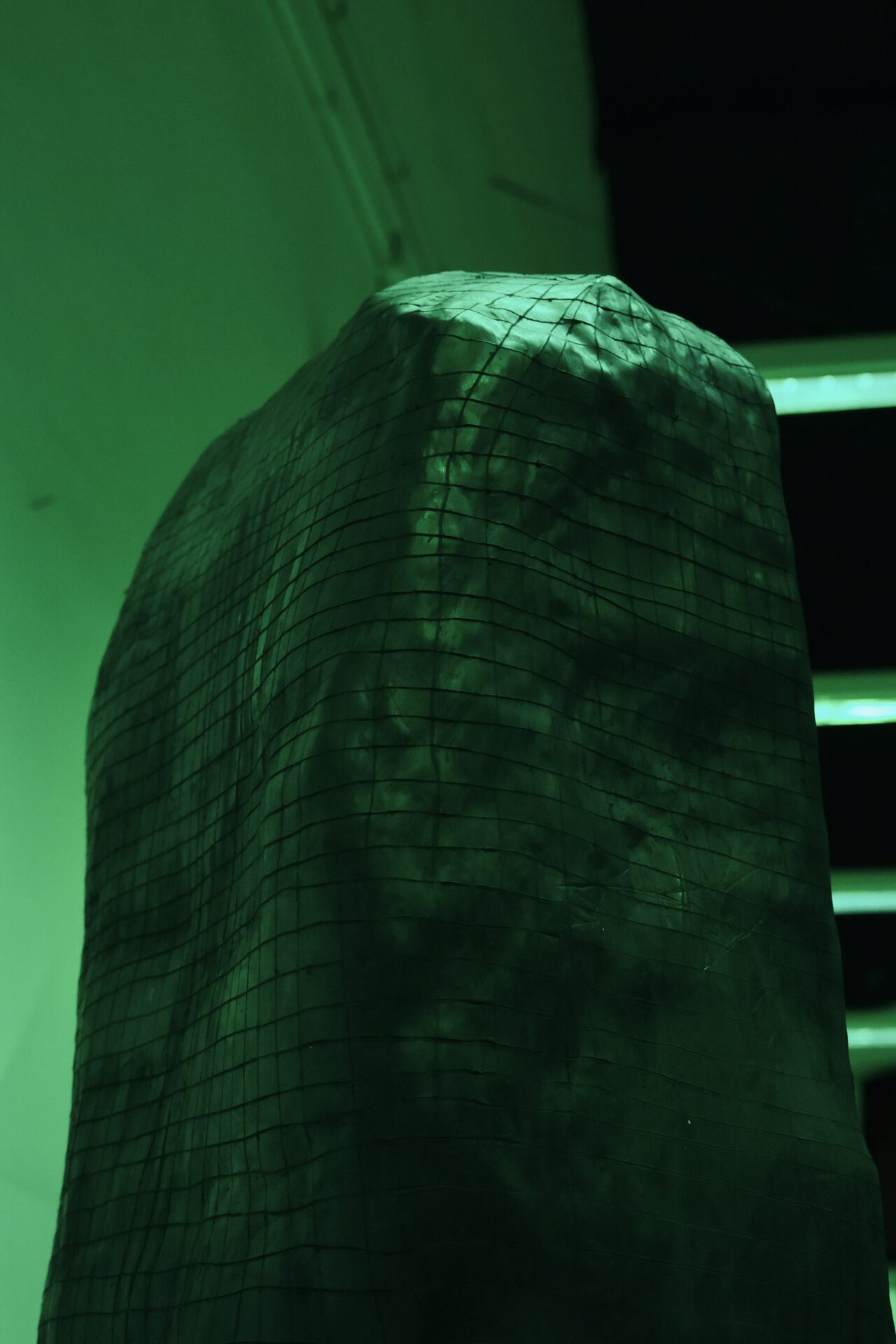 Ginevra Collini, The zoo of the new, 2022, black pongo, 225x68x40 cm.