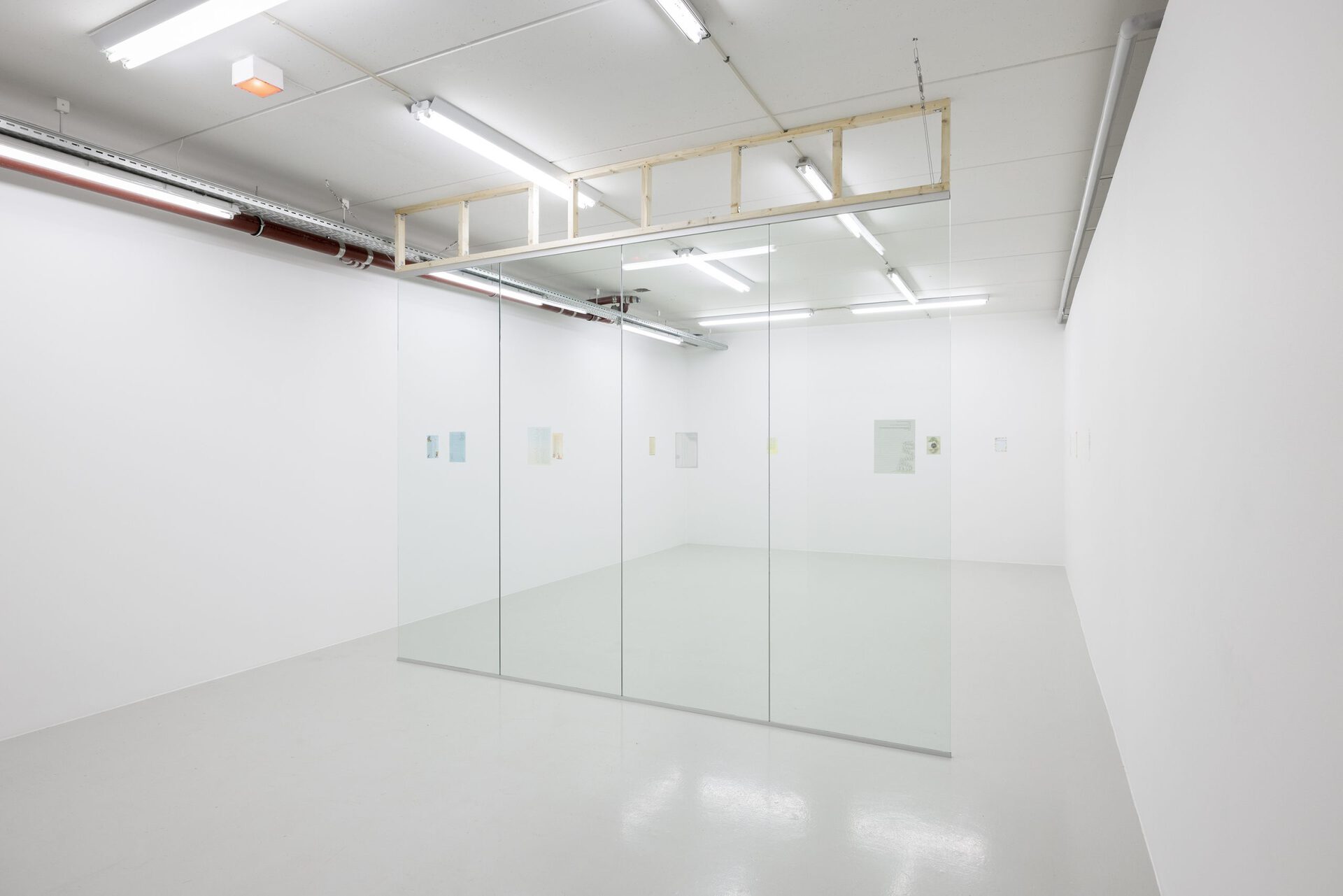 Asta Lynge: Made of sunshine. 2022. Inkjet on themed letter paper (13 pages), glass wall.