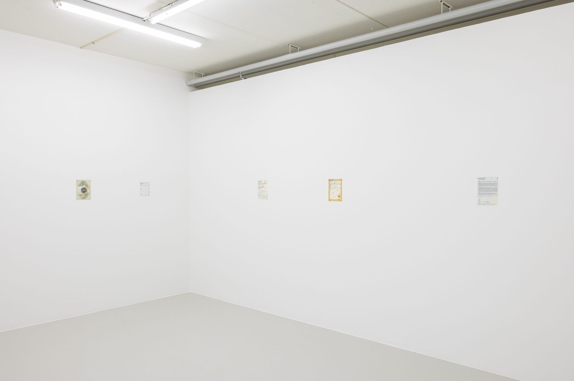 Asta Lynge: Made of sunshine, installation view. 2022.