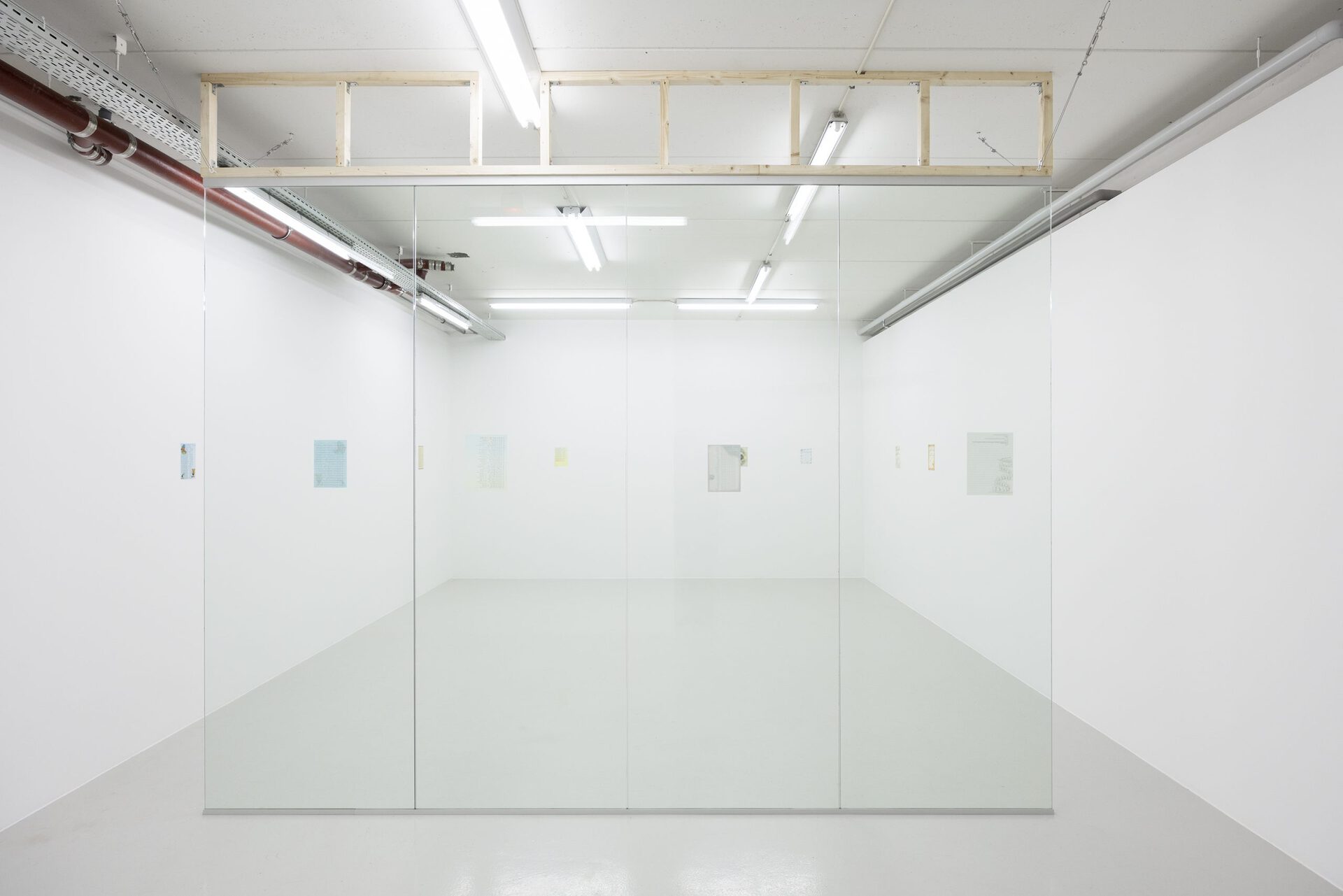 Asta Lynge: Made of sunshine, installation view. 2022.