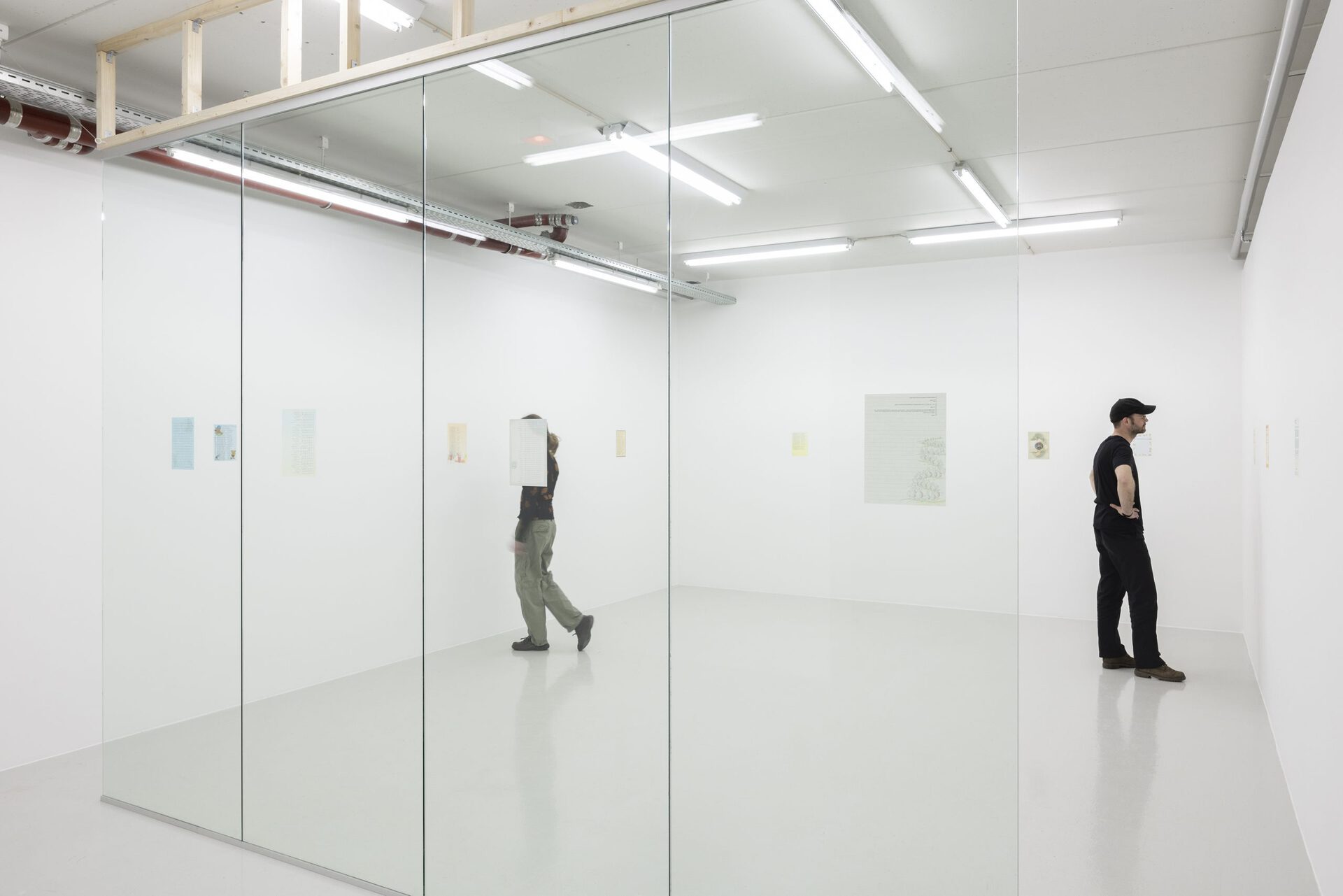 Asta Lynge: Made of sunshine, installation view. 2022.
