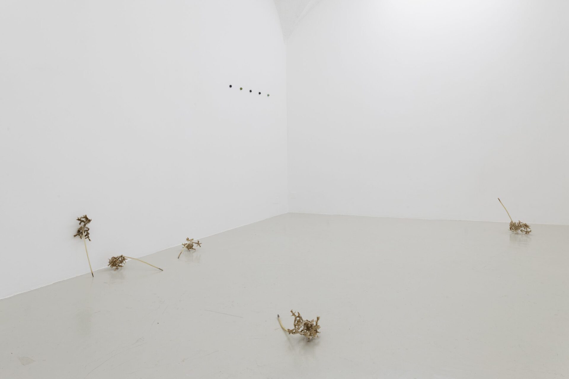 Exhibition view, « Two blue ones: each an eye and/or », Nat Bloch Gregersen, 2022. Courtesy of In extenso. Picture : Ludovic Combe.
