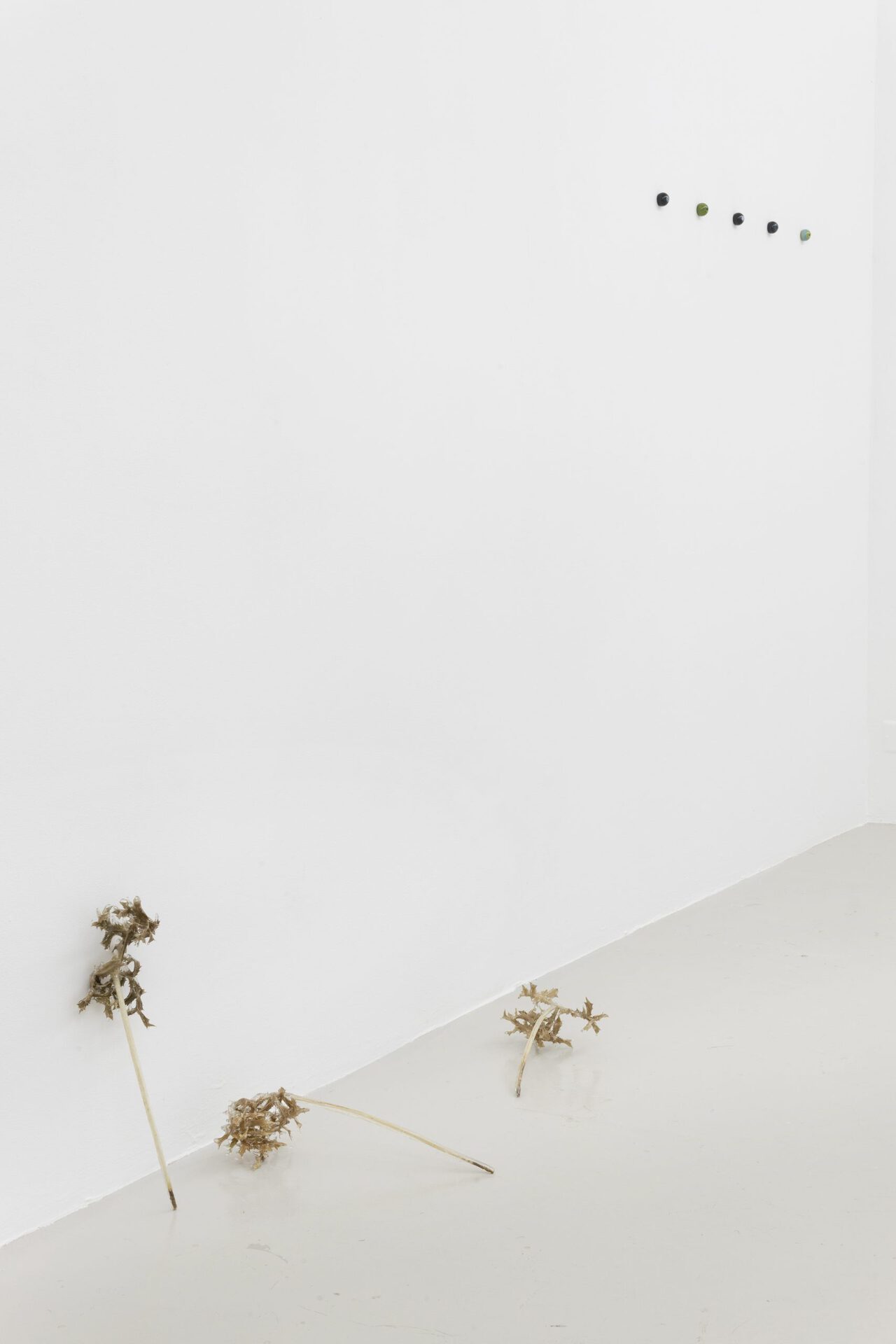 Exhibition view, « Two blue ones: each an eye and/or », Nat Bloch Gregersen, 2022. Courtesy of In extenso. Picture : Ludovic Combe.