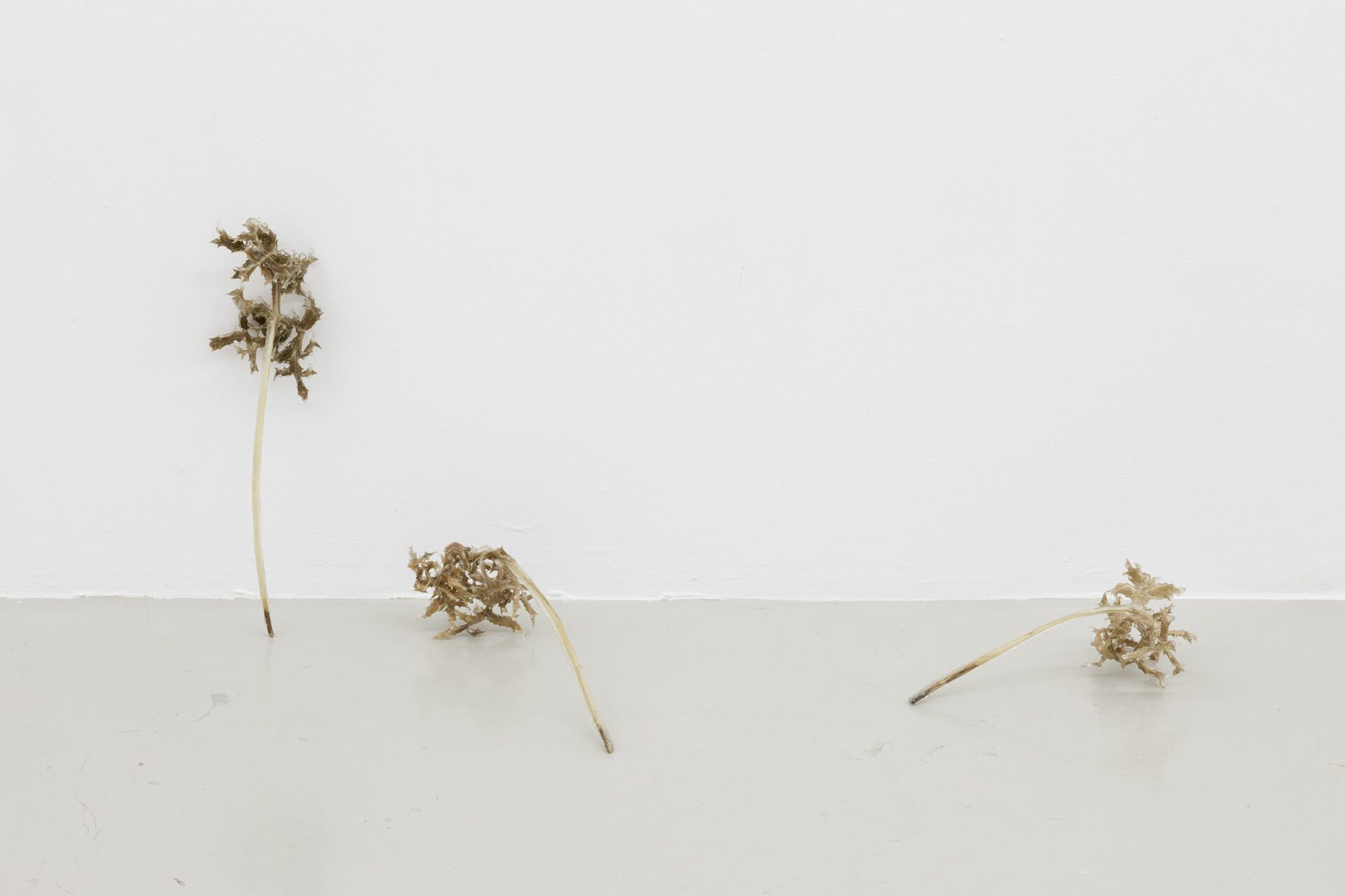 Exhibition view, « Two blue ones: each an eye and/or », Nat Bloch Gregersen, 2022. Courtesy of In extenso. Picture : Ludovic Combe.