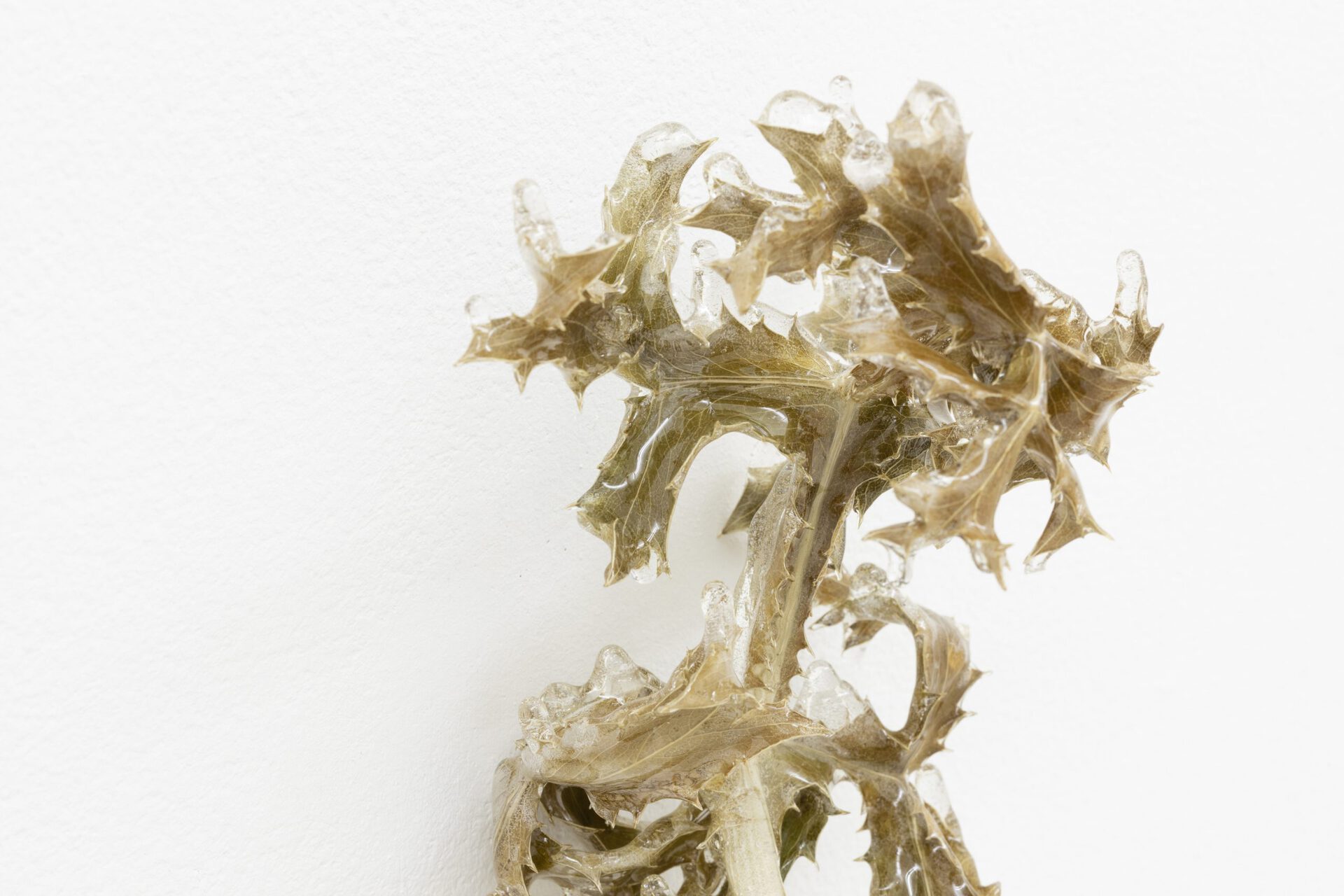 Untitled (blue glitter #2), Nat Bloch Gregersen, 2022, eryngium planum, resin, 42 x 11 x 10 cm. Courtesy of In extenso. Picture : Ludovic Combe.