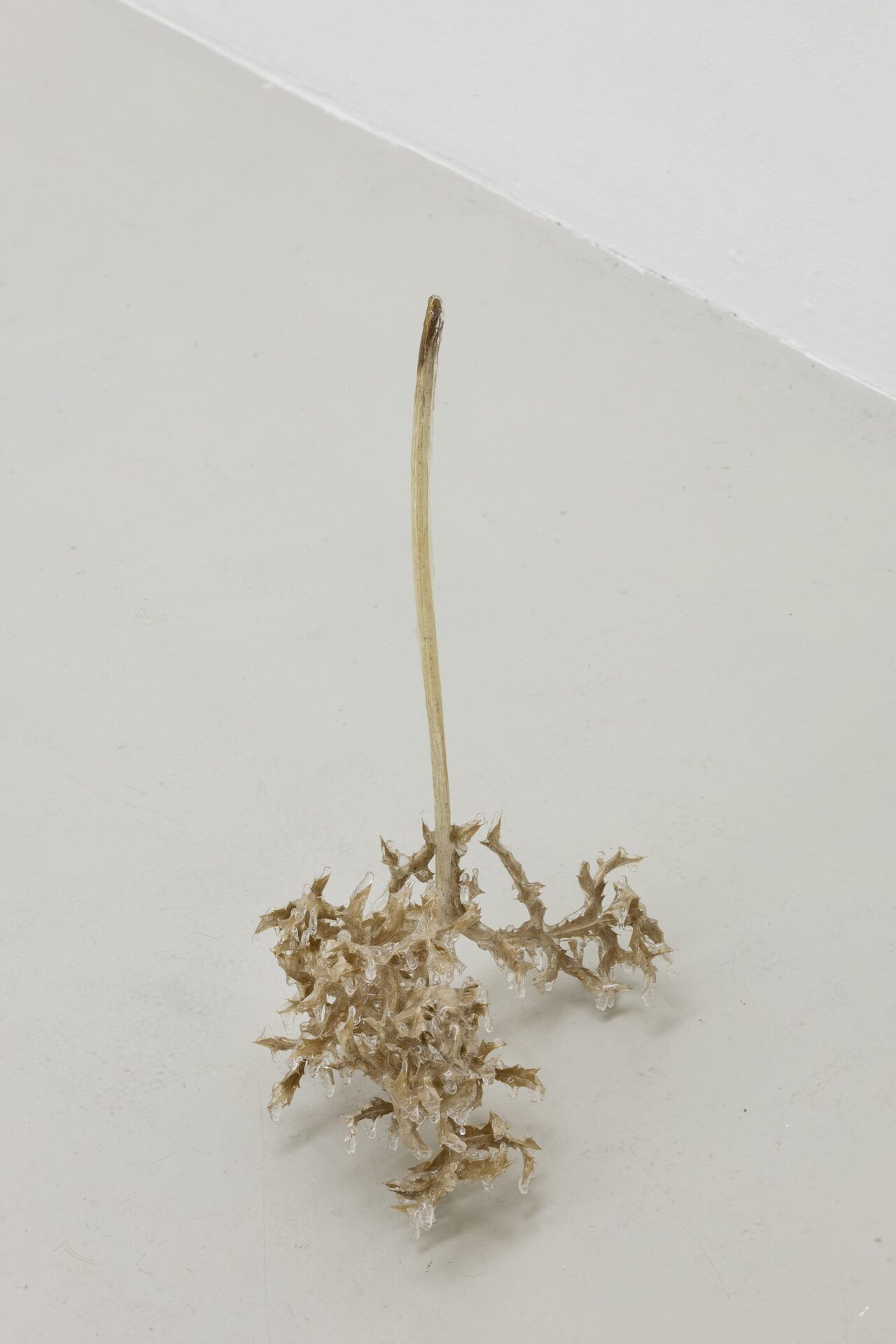 Untitled (blue glitter #6), Nat Bloch Gregersen, 2022, eryngium planum, resin, 43 x 20 x 21 cm. Courtesy of In extenso. Picture : Ludovic Combe.