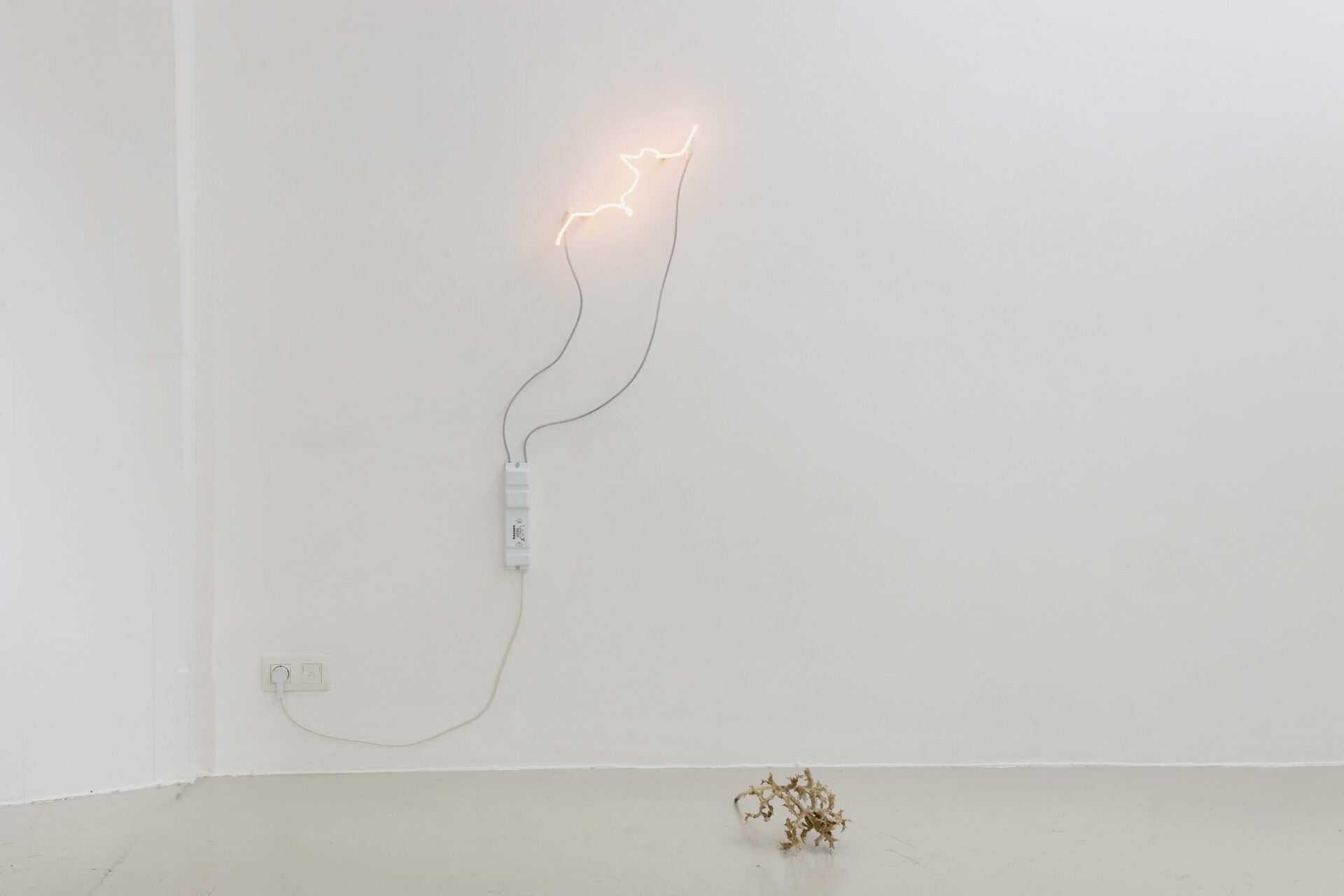 Exhibition view, « Two blue ones: each an eye and/or », Nat Bloch Gregersen, 2022. Courtesy of In extenso. Picture : Ludovic Combe.