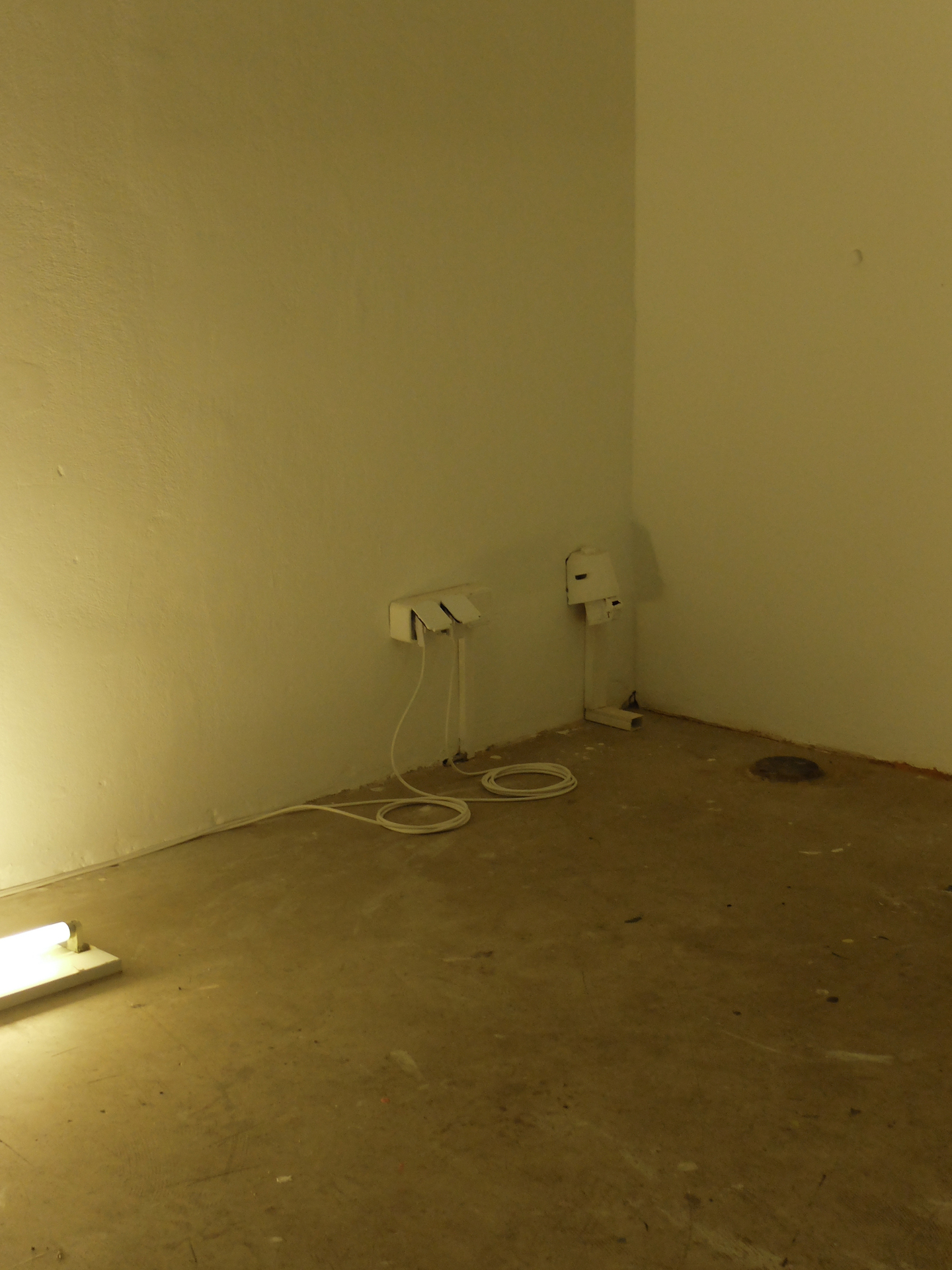 fig6, Aaron-Amar Bhamra , untitled, 2022, 248 x 18 x 6 cm, two ceiling lights from another space