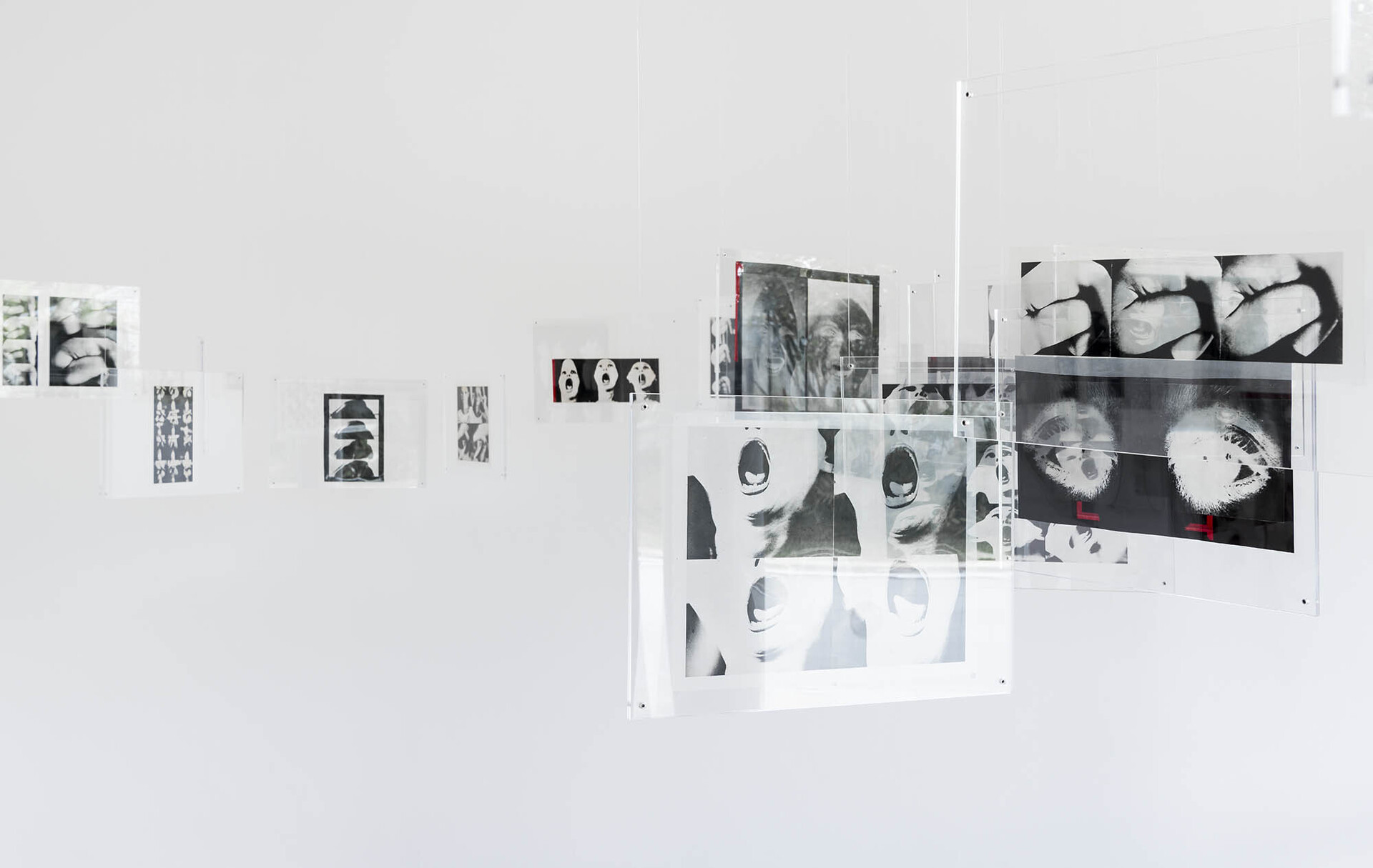 Installation View @ auroras Photo Credit: Ding Musa