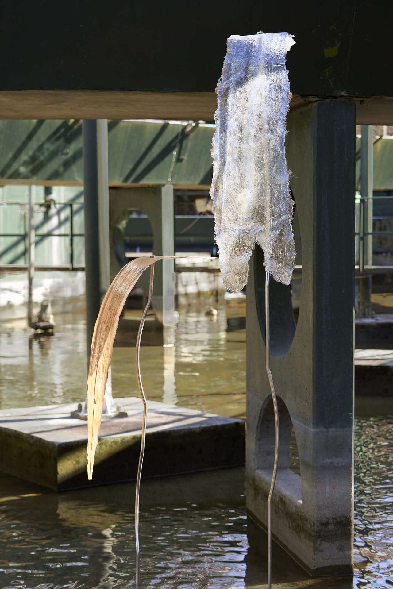 Marie Raffn, Aniso ● lepido ●di ● hymeno ● ptera ● “mosaic wings, fallen. series”, 2022, stainless steel, resin, fiberglass, pigment.