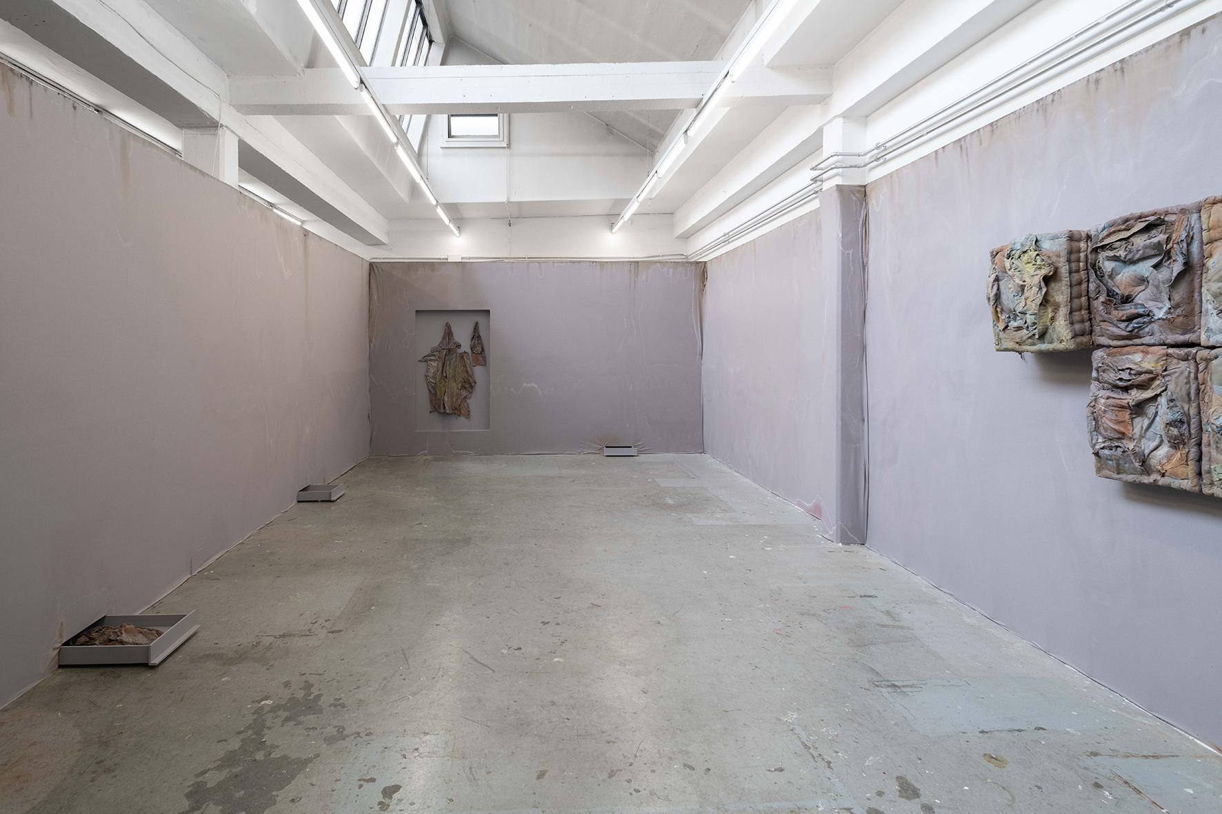 Exhibition view, Manon Wertenbroek S(k)ins
