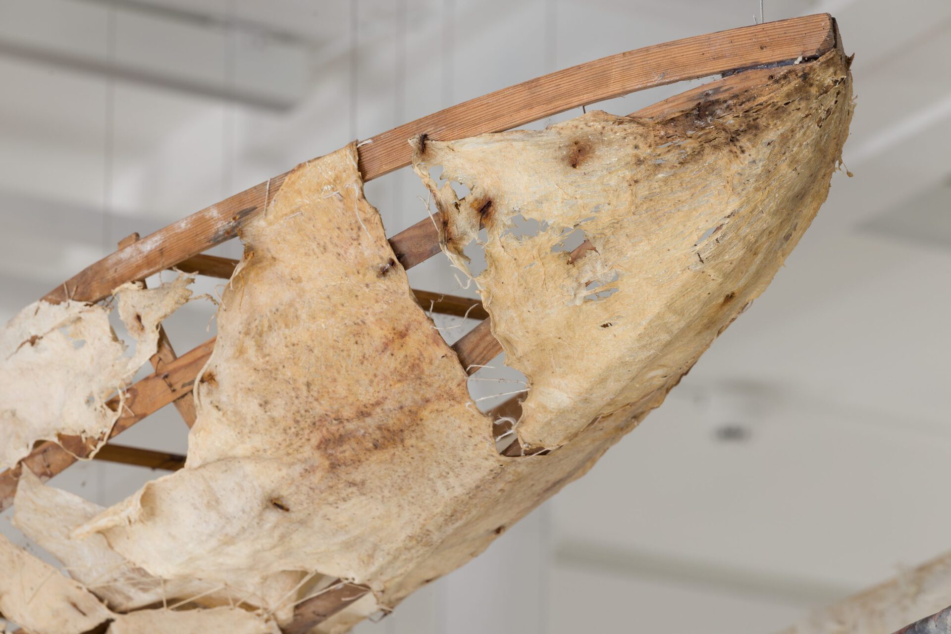Annette Holdensen, Boats, 1994, Variable dimensions, mixed media