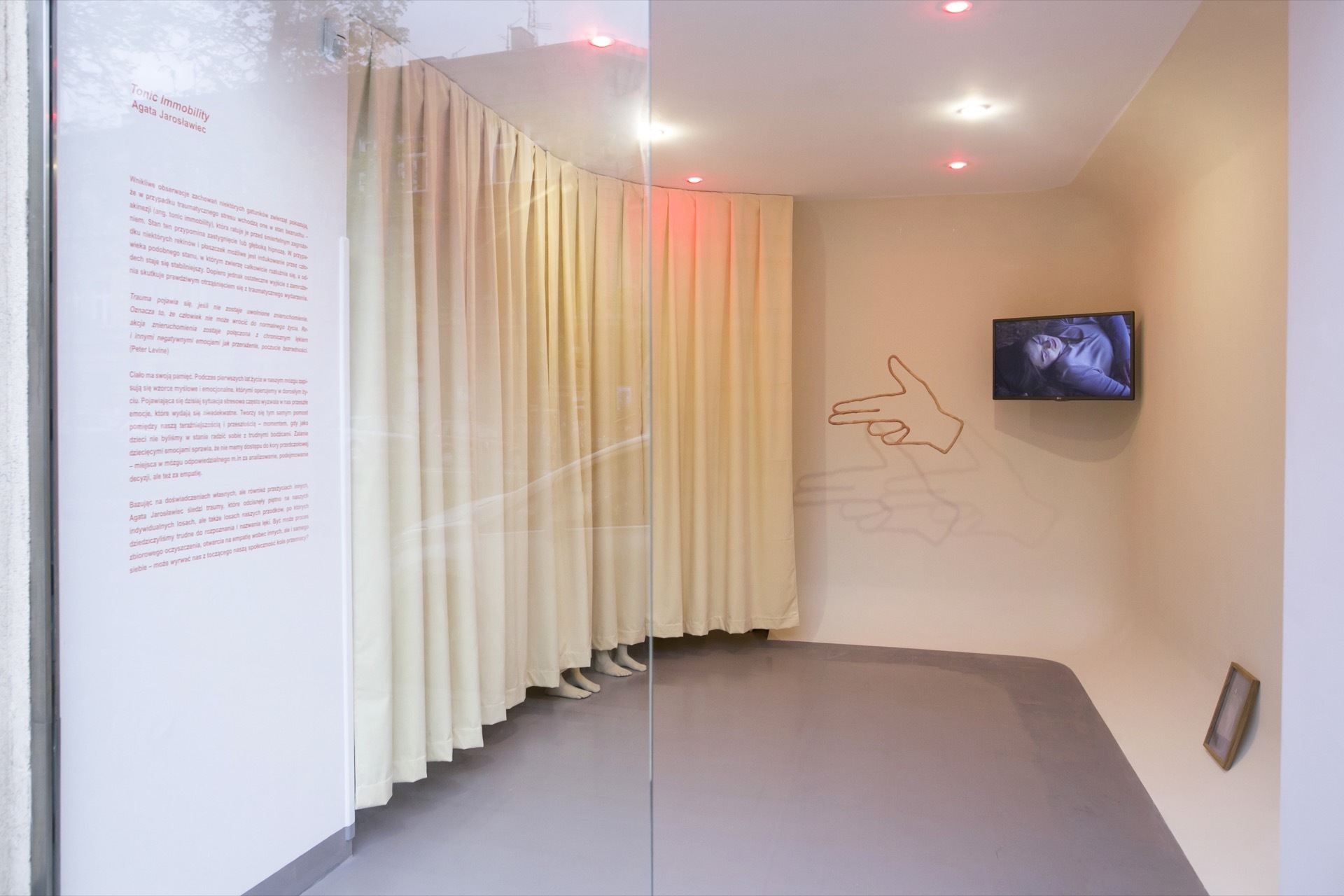Agata Jarosławiec, Tonic Immobility, 2022, exhibition view
