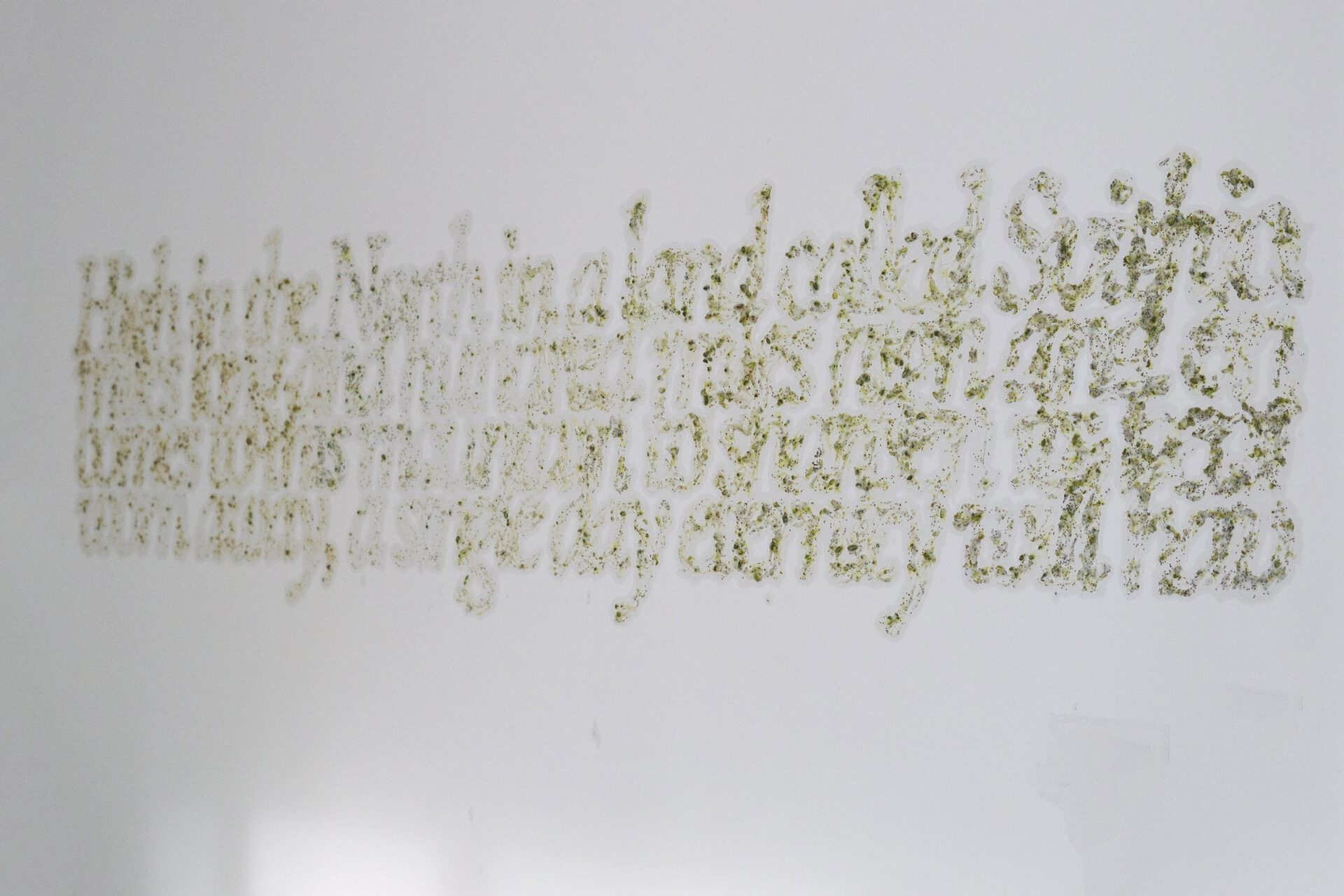 Kay Yoon, Words melt when they are spoken, 2022, Coconut Oil, Pistachio, Chia Seeds, and Pumpkin Seeds, Variable Dimension