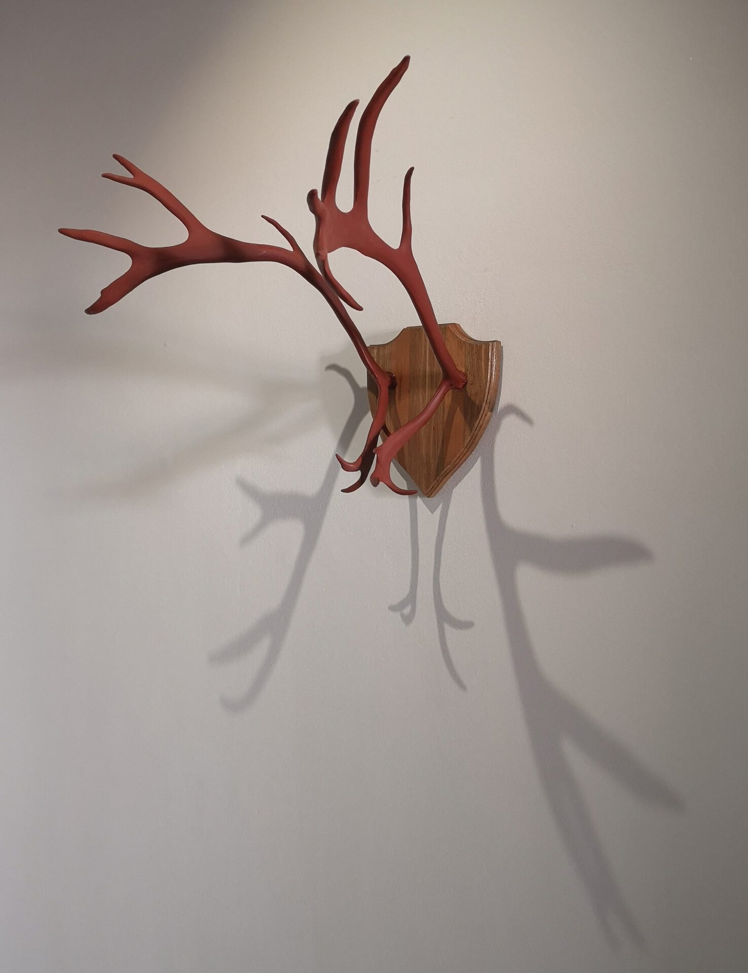 Andrius Erminas, from the series "Chambers of Reminiscence", found object - horns, 2022