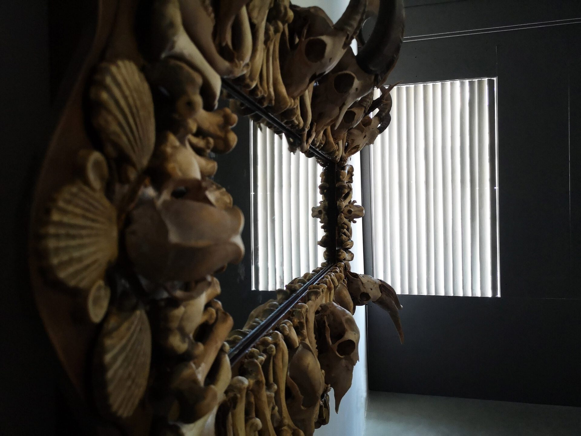 Andrius Erminas, from the series "hambers of Reminiscence", fragment, found object, bones, 2022