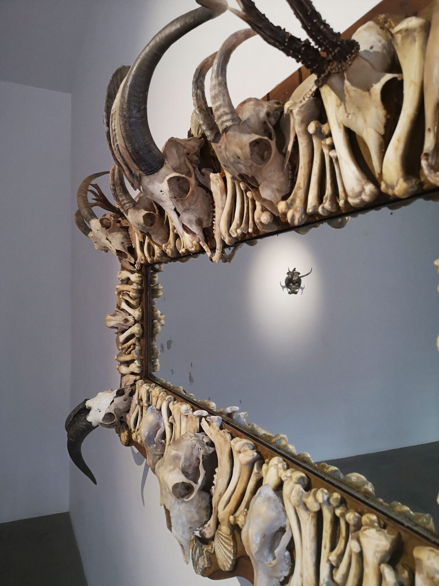 Andrius Erminas, from the series "Chambers of Reminiscence", found object, sculls, bones, 2022