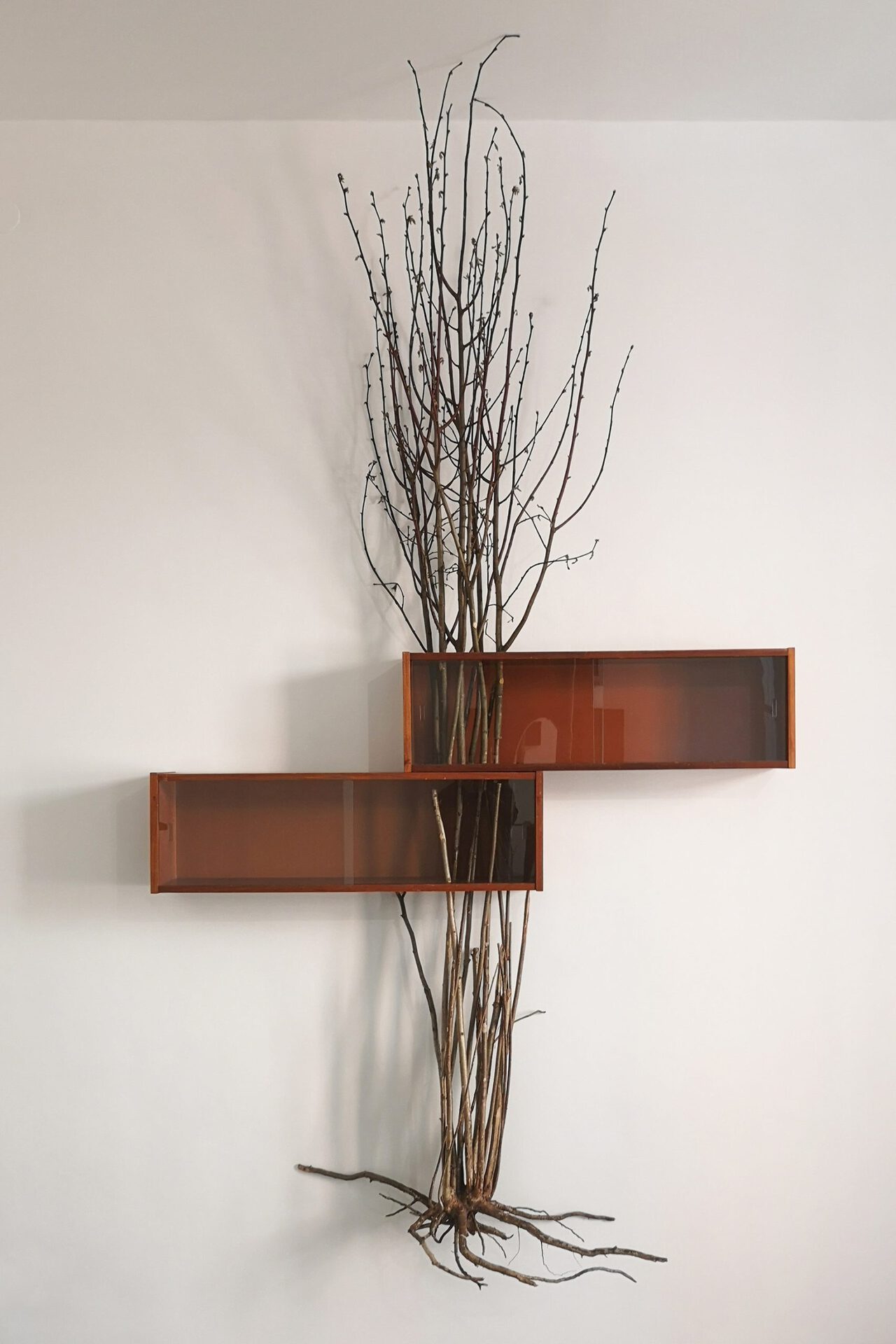 Andrius Erminas, from the series "Chambers of Reminiscence", found object, tree branches, 2022