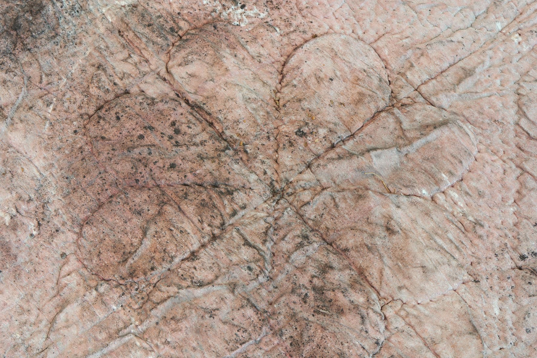 Dala Nasser: Red in Tooth, 2020 – 2021 – 2022 (detail). Muslin, salt, natural pigment. Kölnischer Kunstverein, 2022. Courtesy: the artist and Deborah Schamoni. Photo: Mareike Tocha.