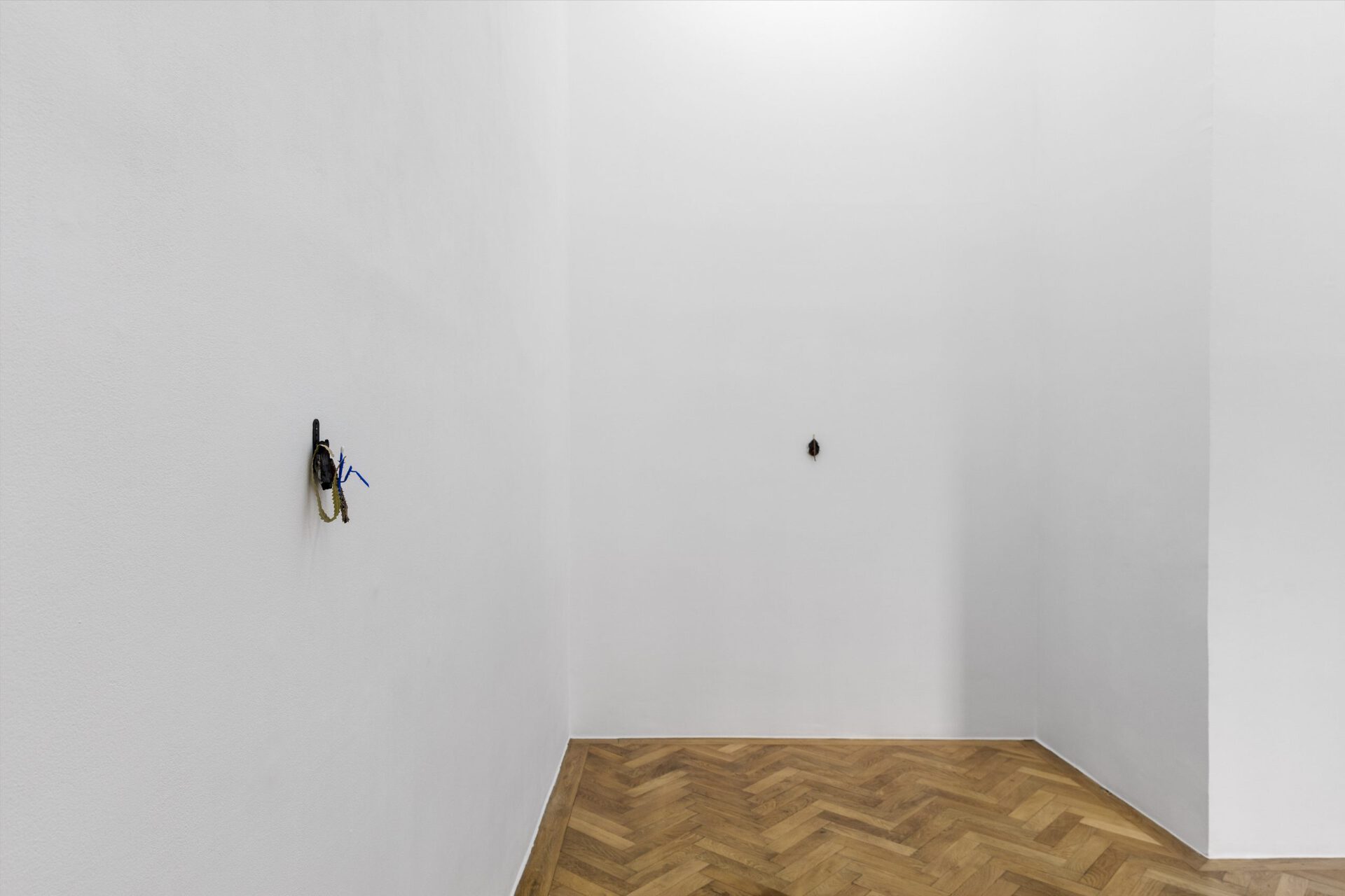 David Fesl, installation view, 2022, Sperling, Munich