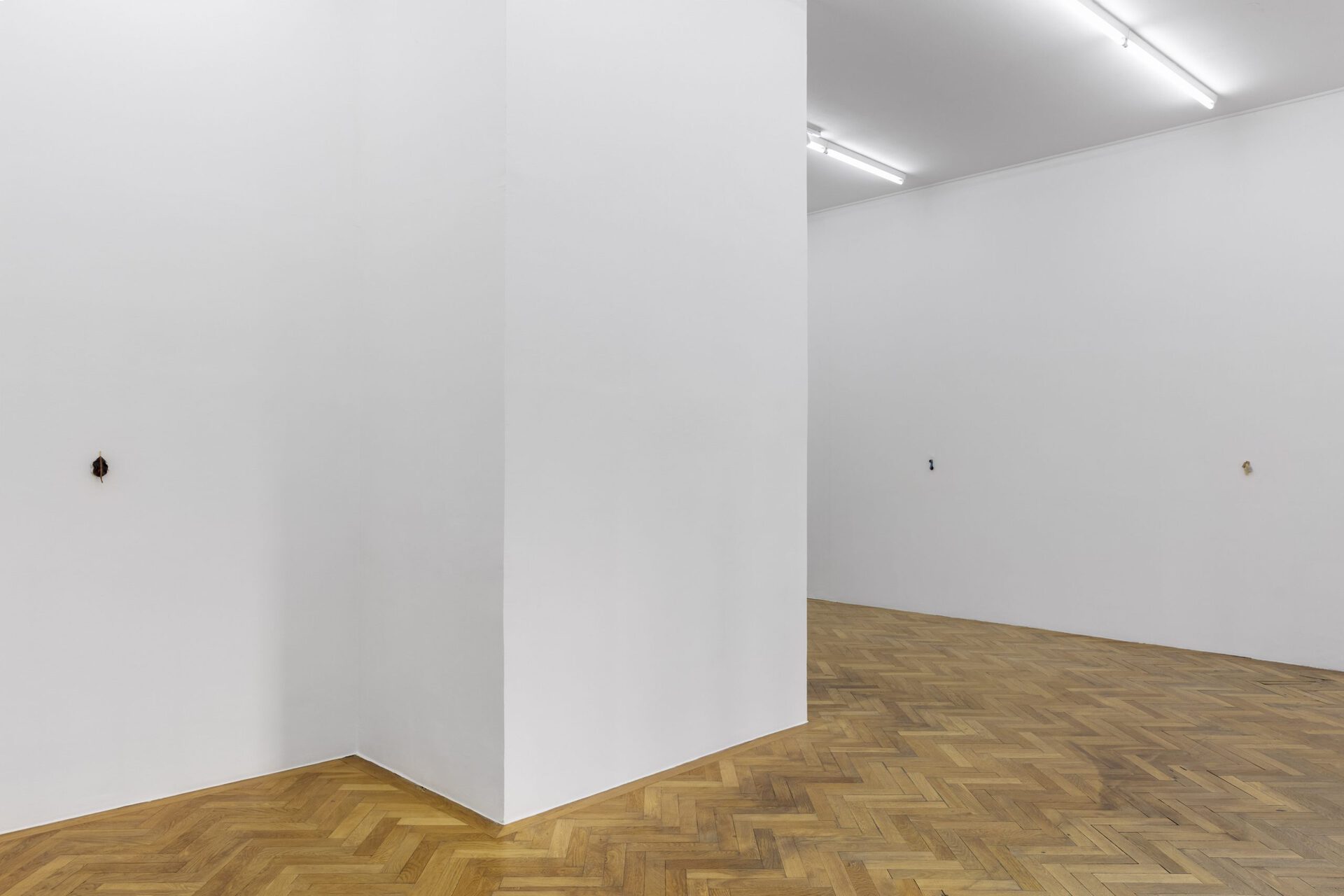 David Fesl, installation view, 2022, Sperling, Munich
