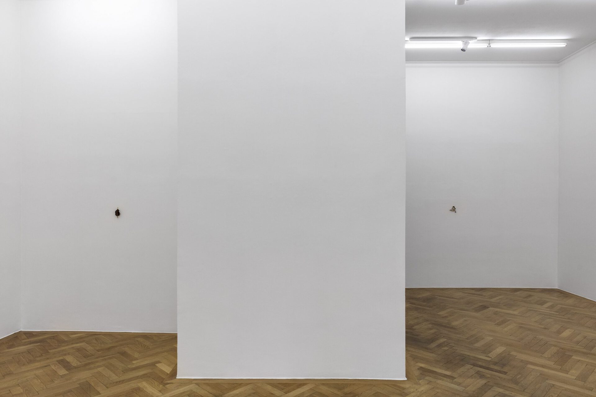 David Fesl, installation view, 2022, Sperling, Munich