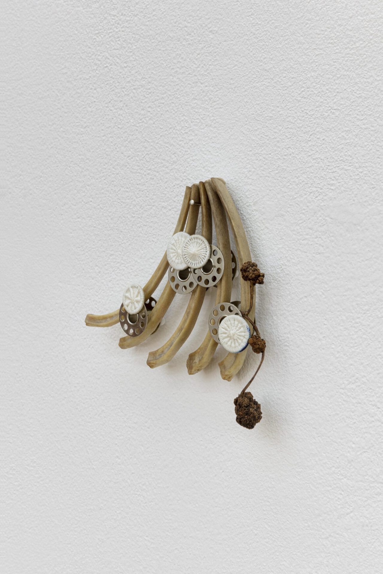 David Fesl, Untitled, 2021, lamb ribs, sewing machine coils, cotton thread, bedcloth buttons, ink and willow blossoms, 11 × 12.6 × 3.3 cm
