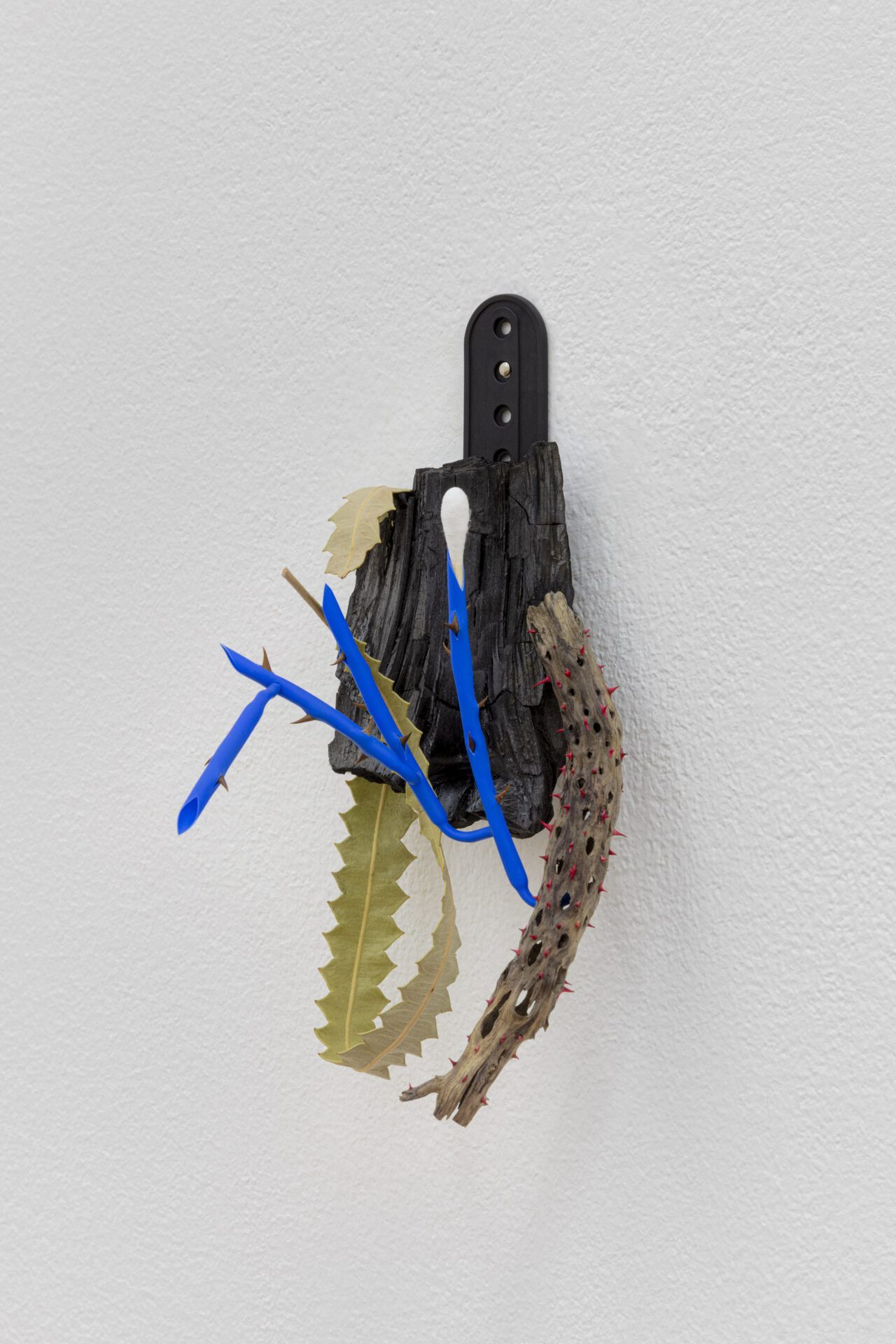 David Fesl, Untitled, 2021, cap buckle, spruce wood, banksia leaf, driftwood, thistle thorns, heat shrink tube, rosehip thorns, cotton swab, 16.5 × 7.3 × 8.3 cm