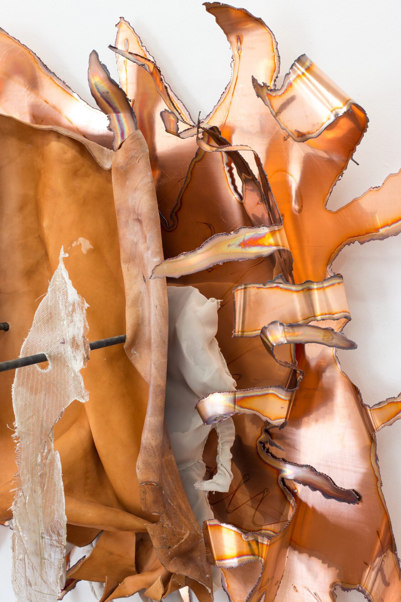 Lucía C. Pino, Amazon Quarterly vol 03. (content.) Copper, polymorphic plastic, textile, leather, polyester resin, fiberglass and iron. Artiatx, Bilbao.