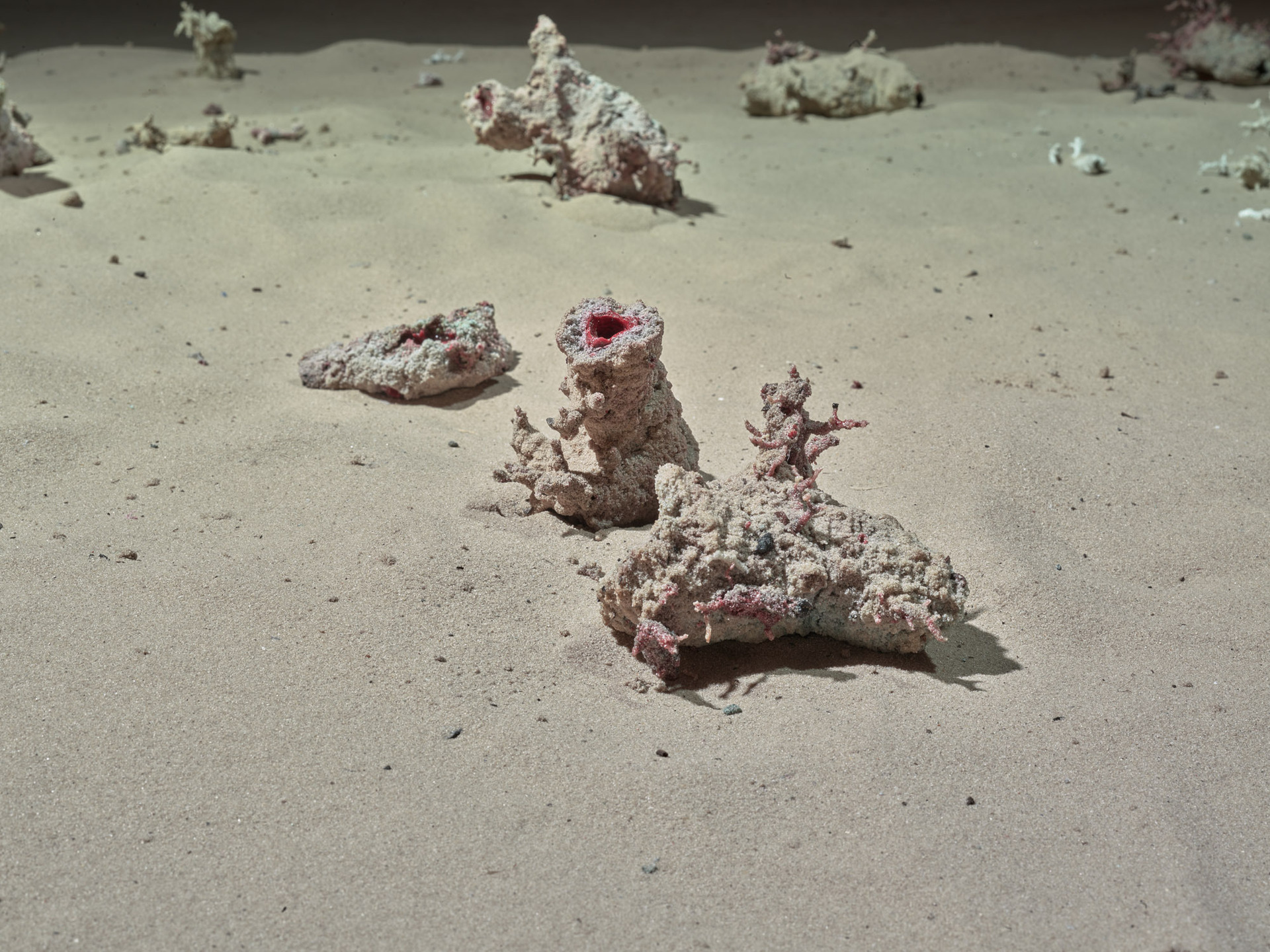 Marjolijn Dijkman, Cloud to Ground #1 (detail), dimensions variable,installation view, Fossil Experience, Prater Galerie Berlin at Grosser Wasserspeicher (2022). Photo: Eric_Tschernow