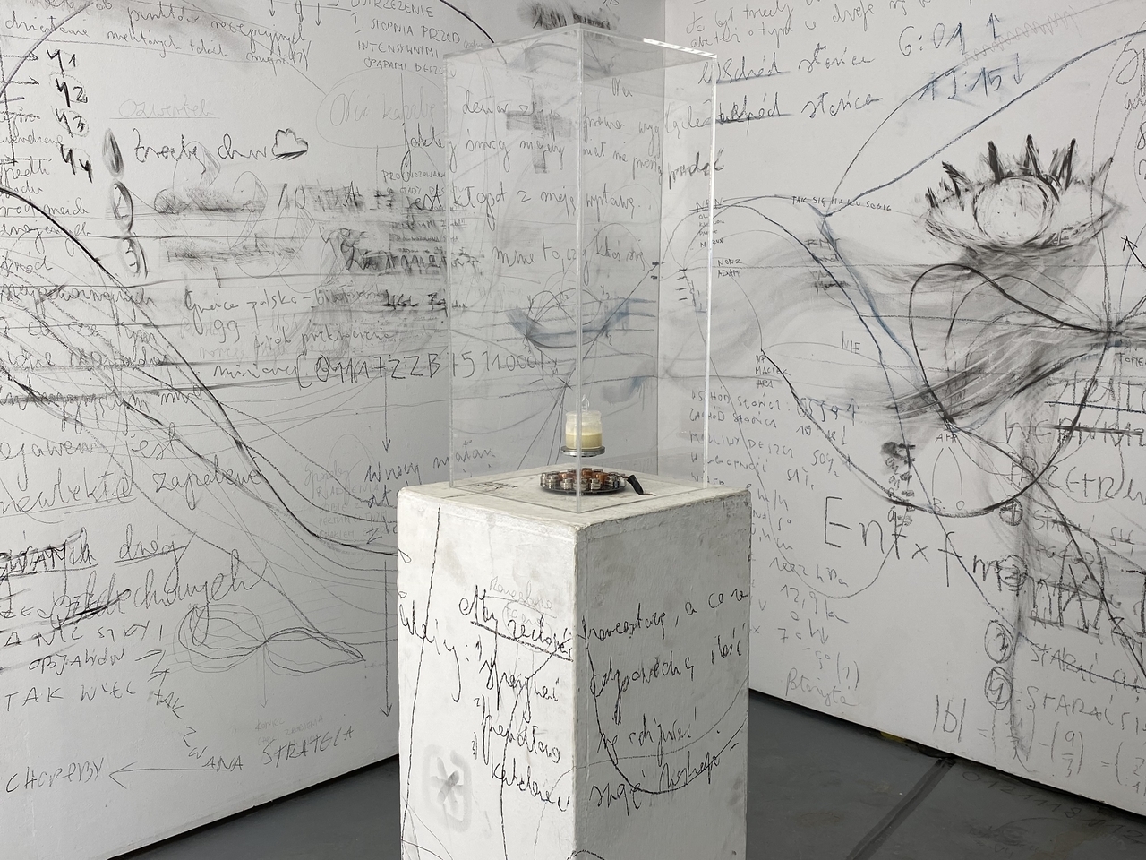 Linda Lach, FEEDBACK, 2022, Mix Media, 7000 cm x 3300 cm