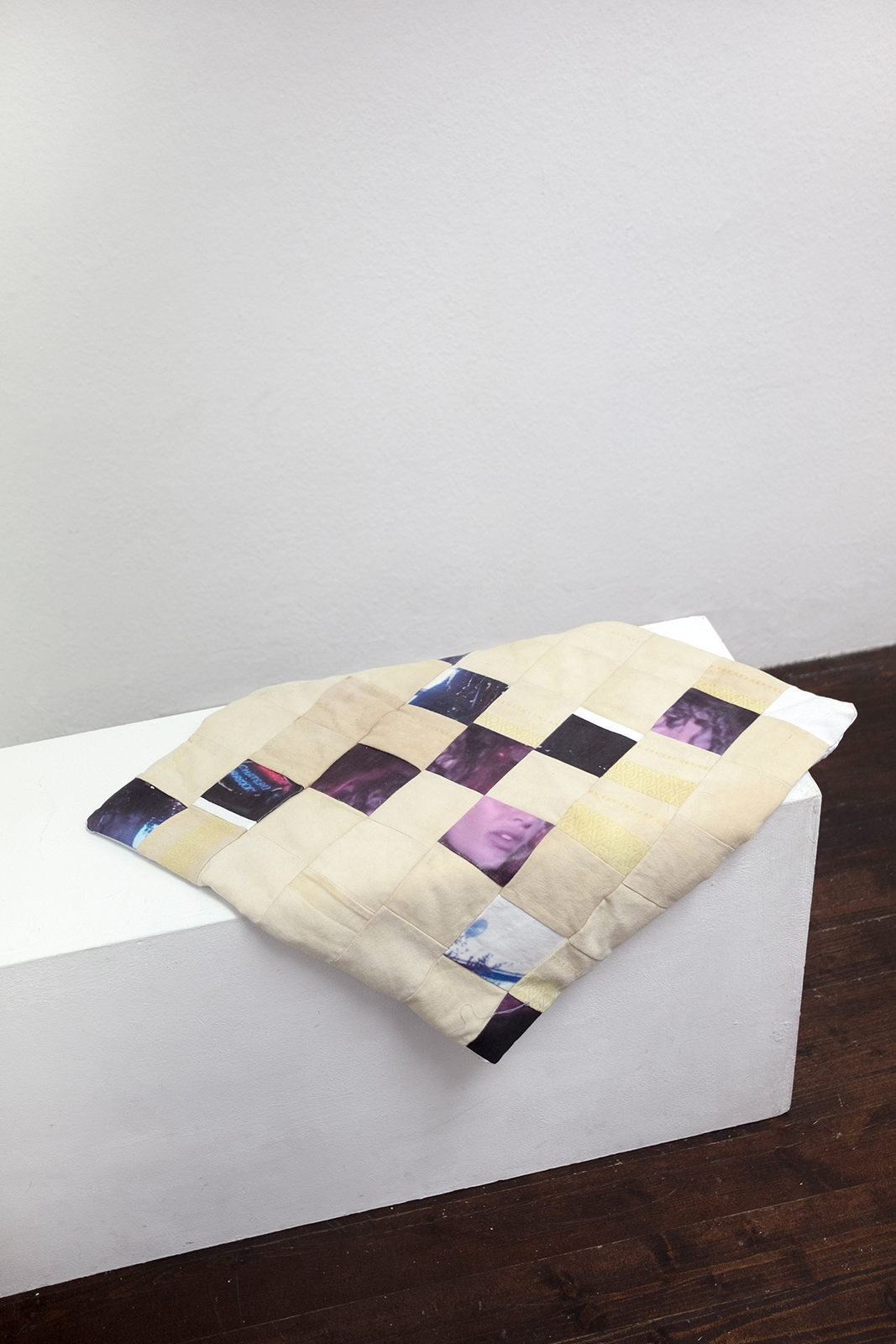 Taissa Fromme, Fan 1, 2021, Digital print on cotton, satin, 50 x 50 cm