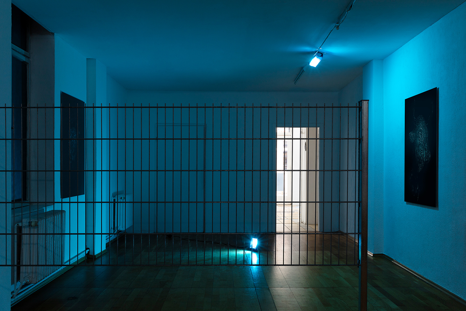 Juliane Tübke, Kaltes Leuchten, 2022, Installationview