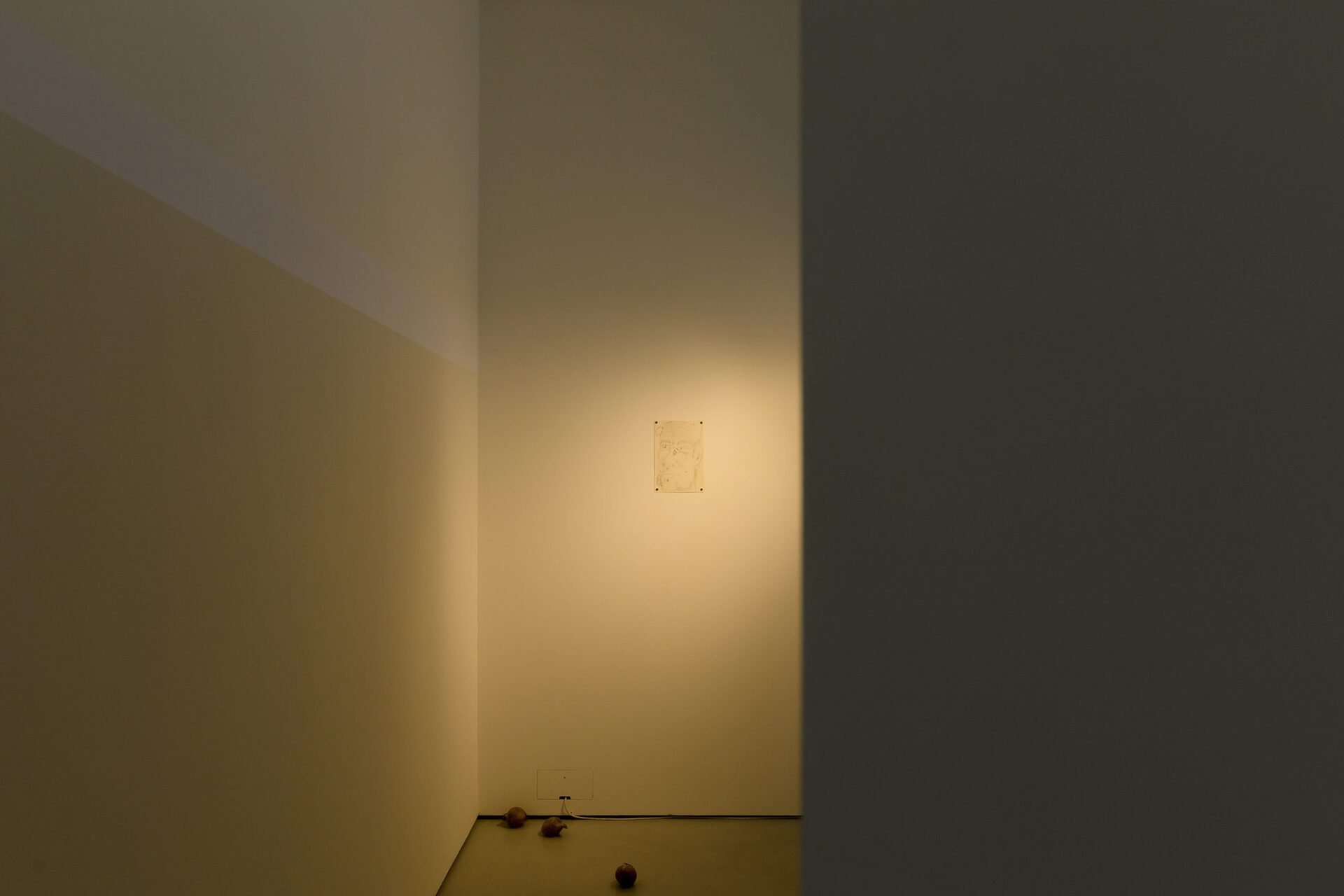 Karanjit Panesar, Close up #19, installation view, Workplace Foundation, 2022