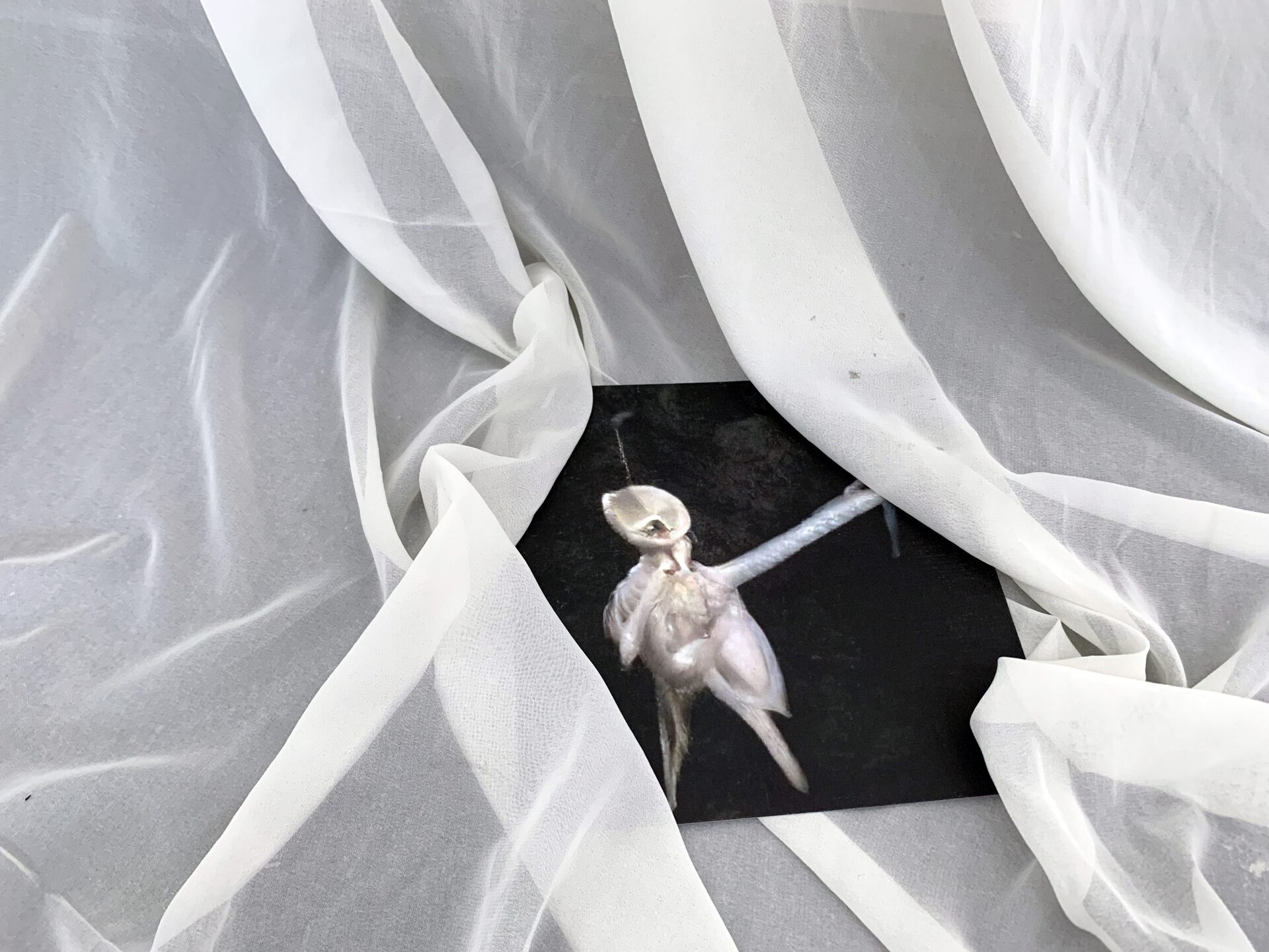 Lola, Untitled, 2022, Digital print on paper, 20x20cm