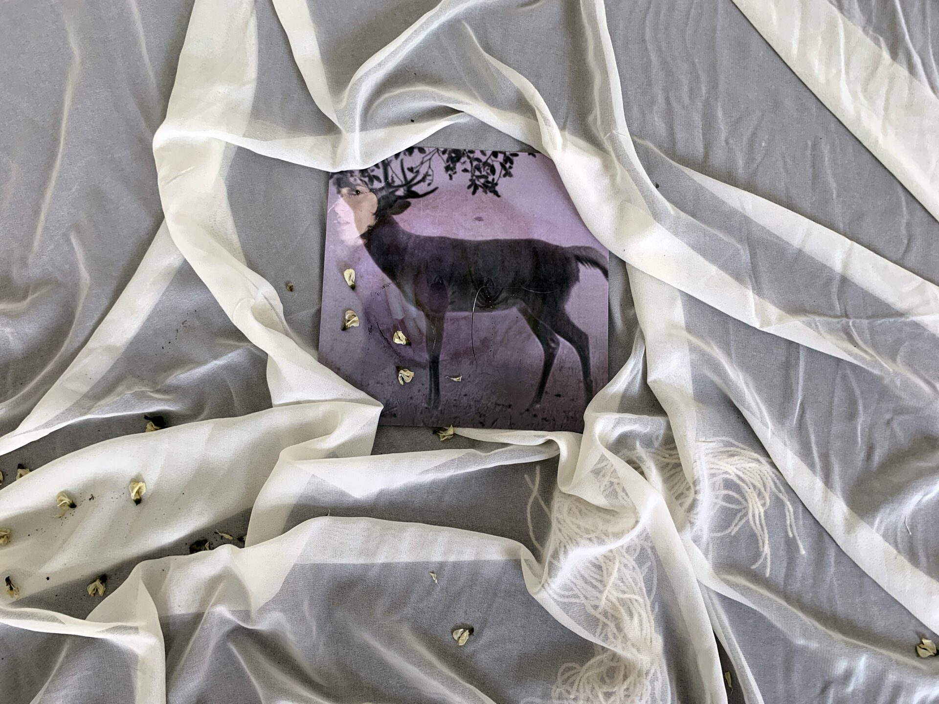 Lola, Untitled, self portrait, digital print, 20x20cm