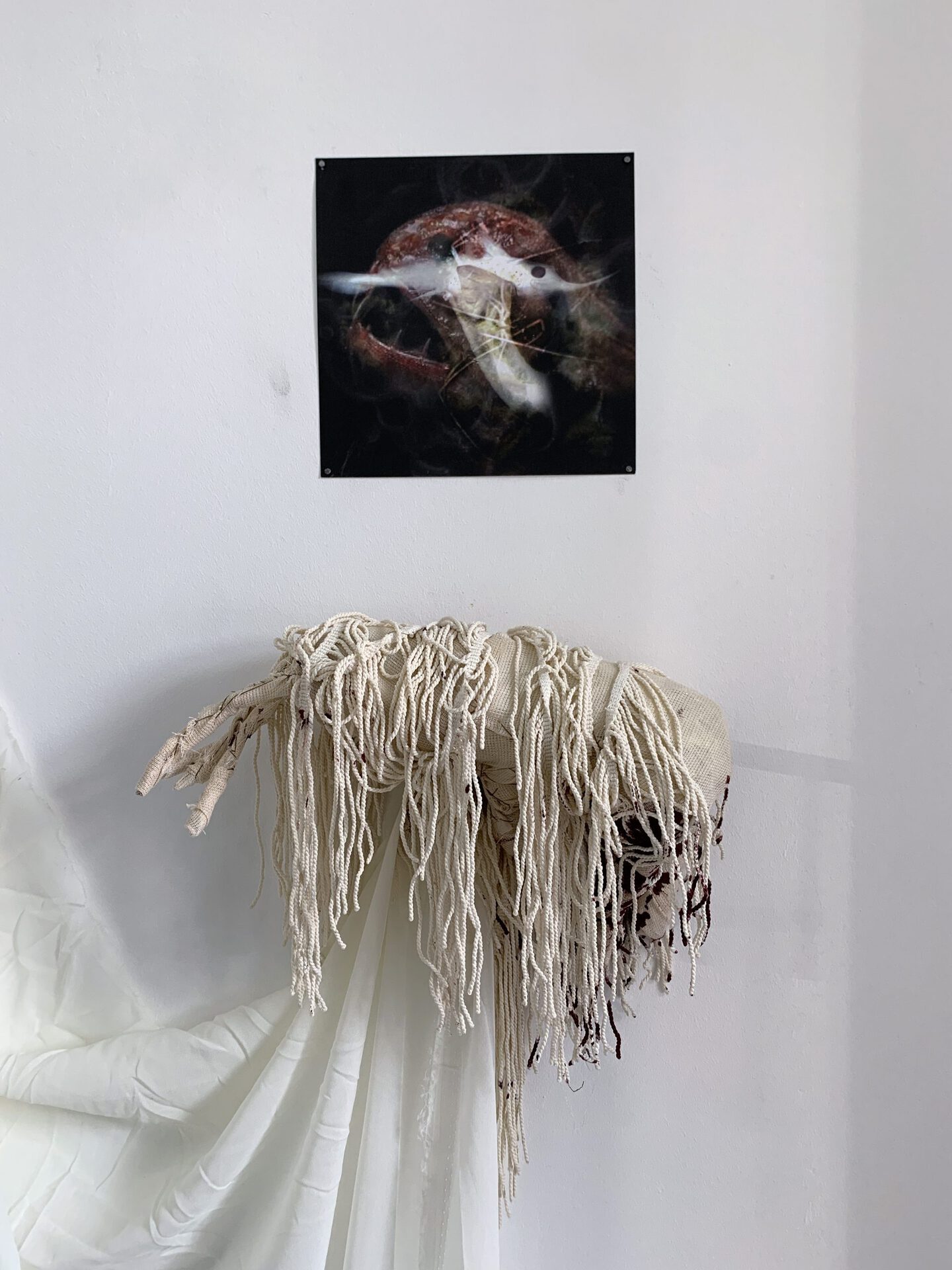 Lola, Untitled, 2022 object, fabric, artificial cotton, plastic mag, digital print, 20x20cm