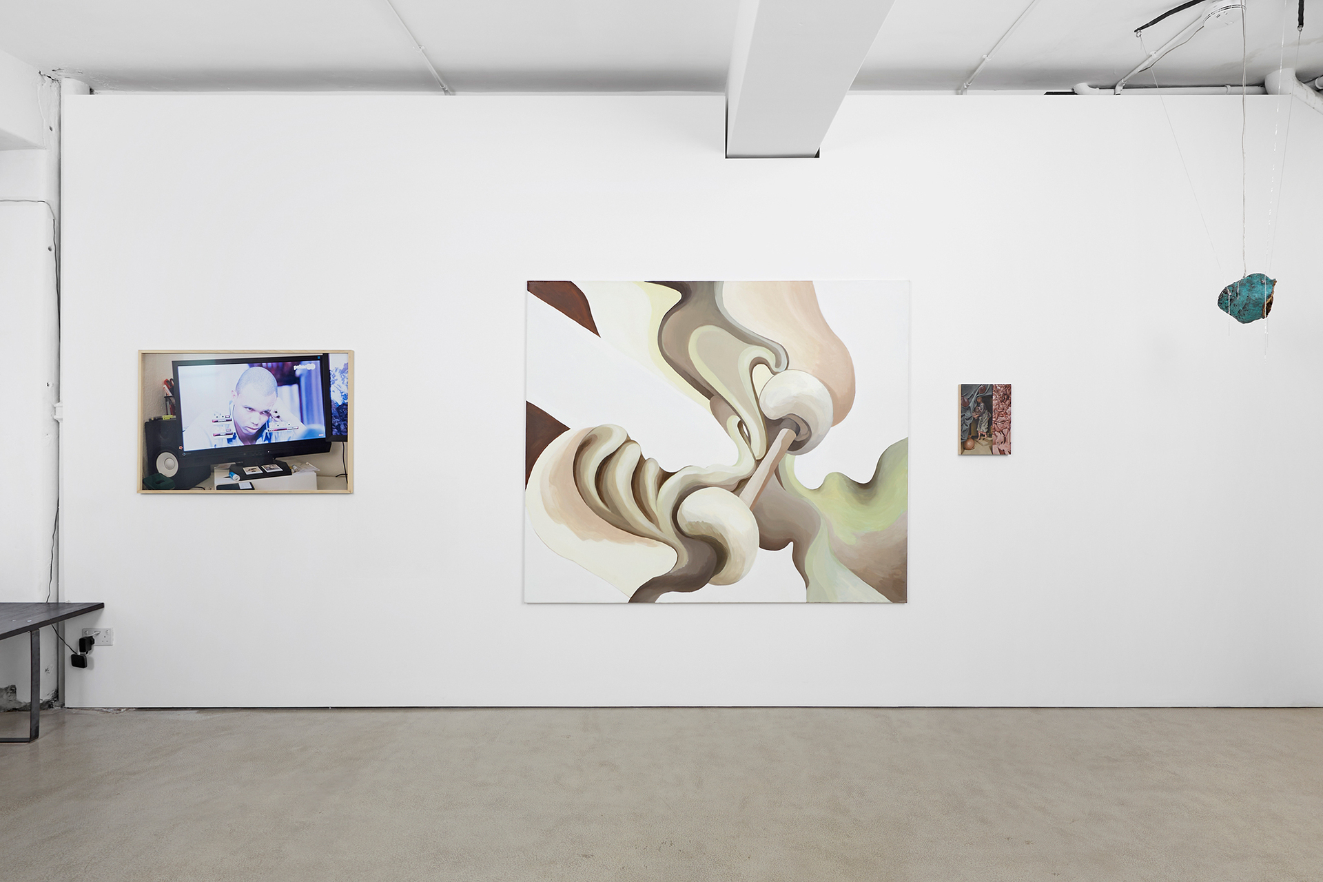 Look, lightning has struck the flowers- installation view