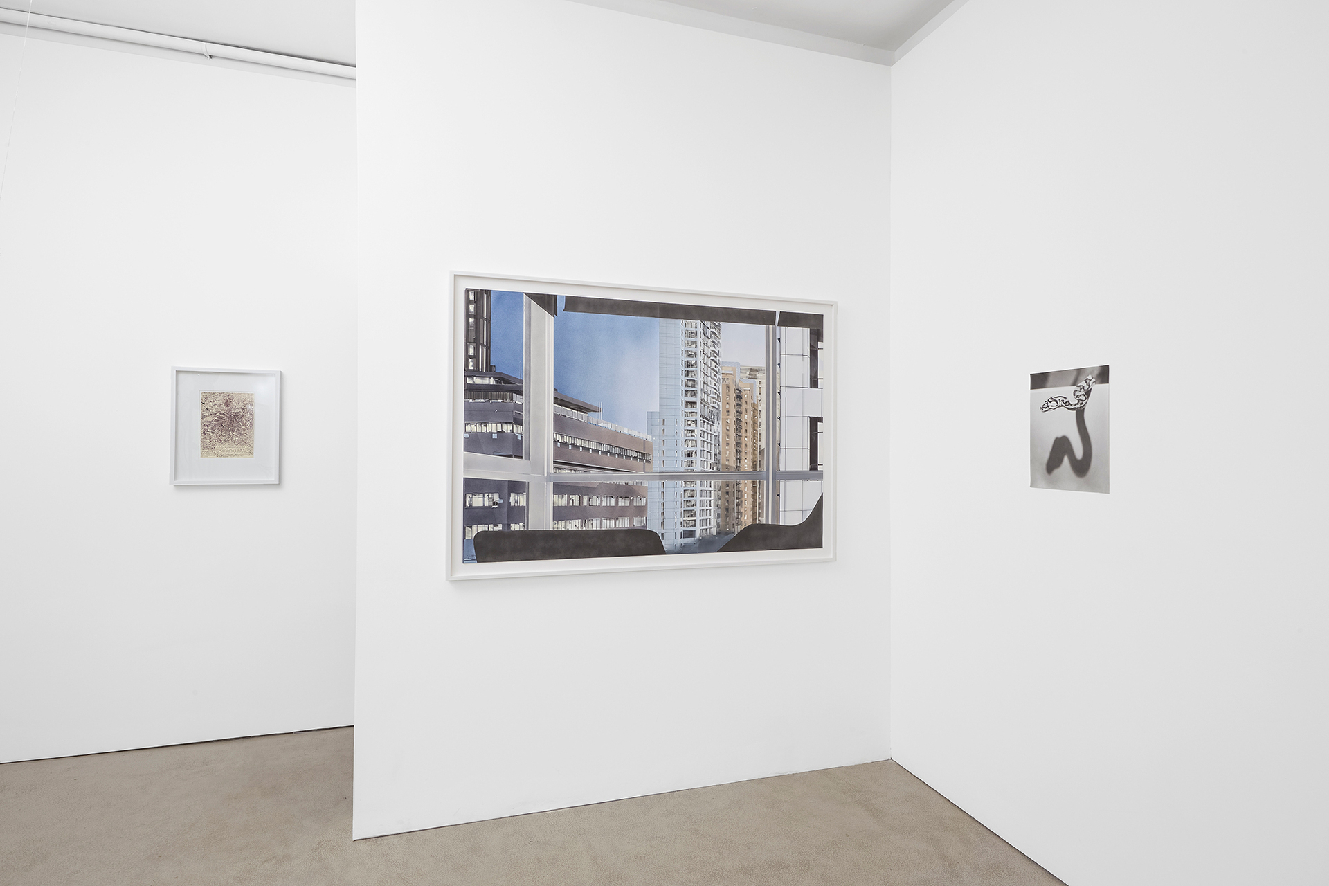 Look, lightning has struck the flowers- installation view