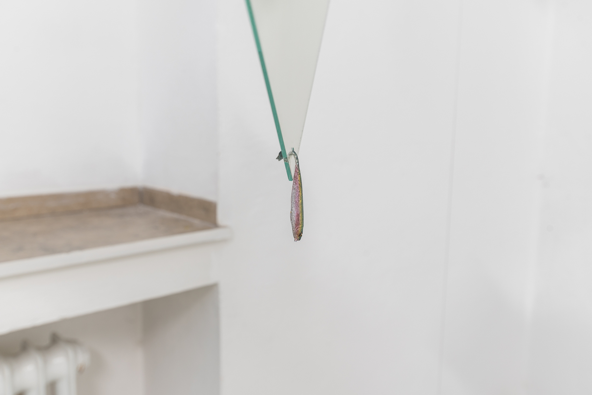 Markues, Fragen aus dem Eis, installation view, 2022