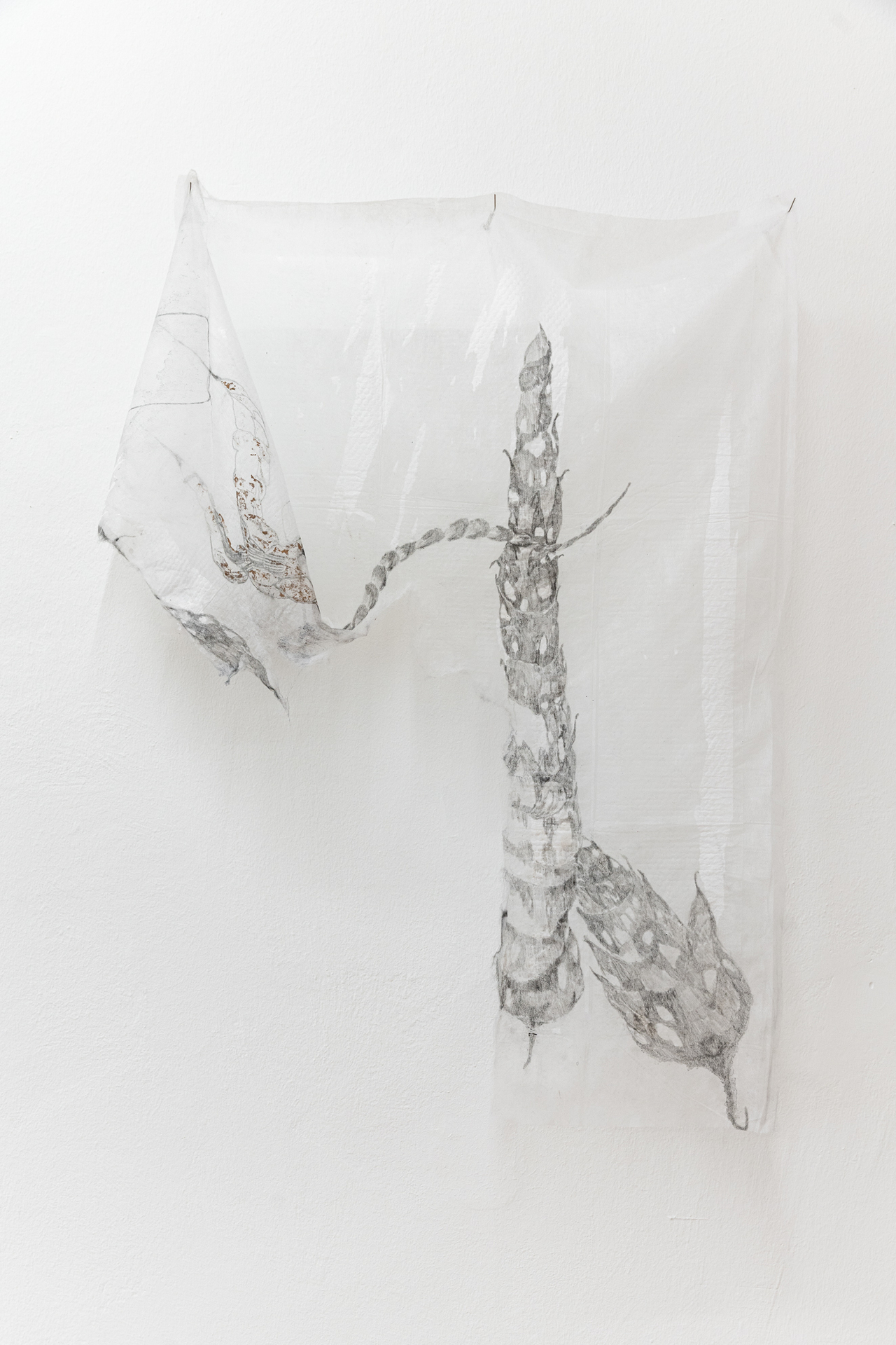 Laura Ní Fhlaibhín, "In the spirited universe", 2022, carbon, Sudocreme, KY lubricating jelly, twin engine oil, iodine tincture, graphite pencil, incontinence bedpad, stainless steel surgical seekers, 90 x 66 x 10 cm