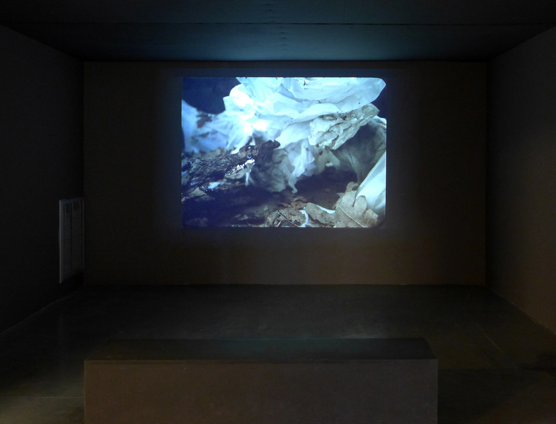 Daniel Steegmann Mangrané Phasmides, 2012
, 16mm film transferred to HD video, color, mute 22:41 min.